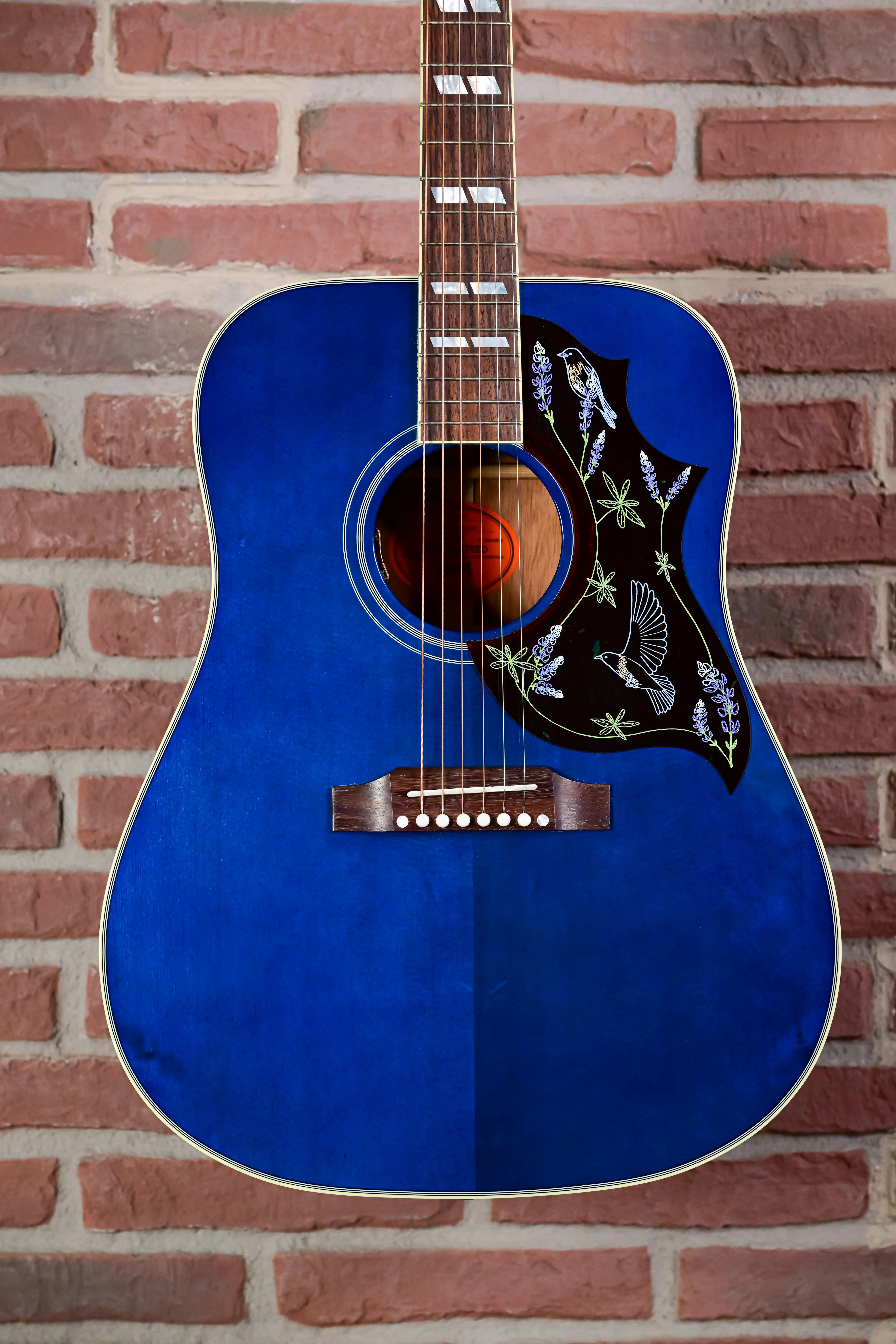 Miranda Lambert Bluebird Bluebonnet
