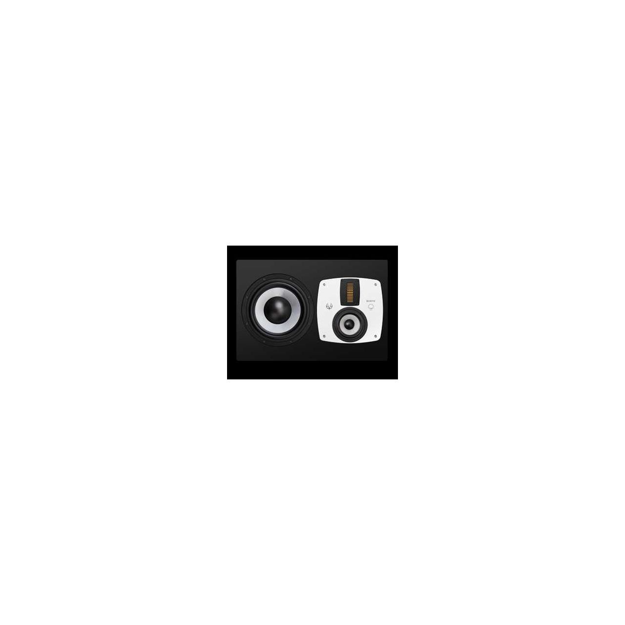 SC3012 - 3-Weg 12" Main Monitor