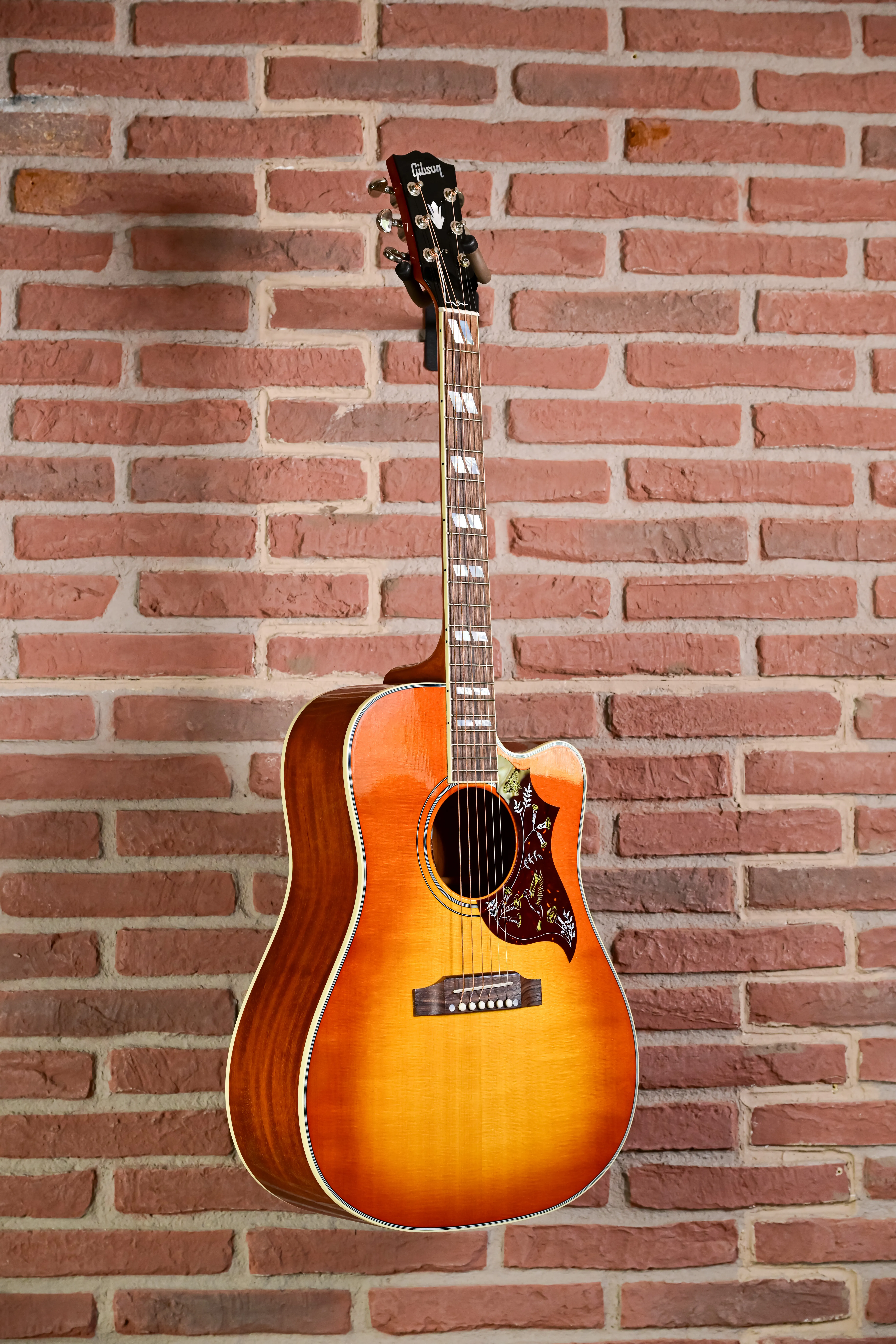hummingbird gibson
