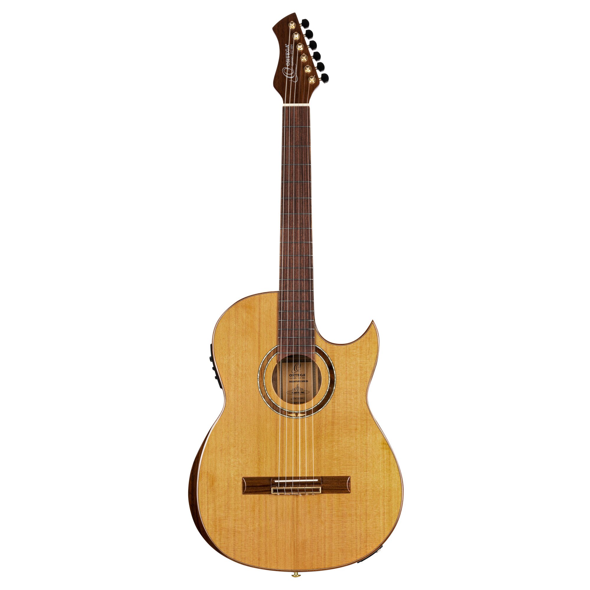 FLAMETAL-TWO Ben Woods Signature Gitarre inkl. Bag
