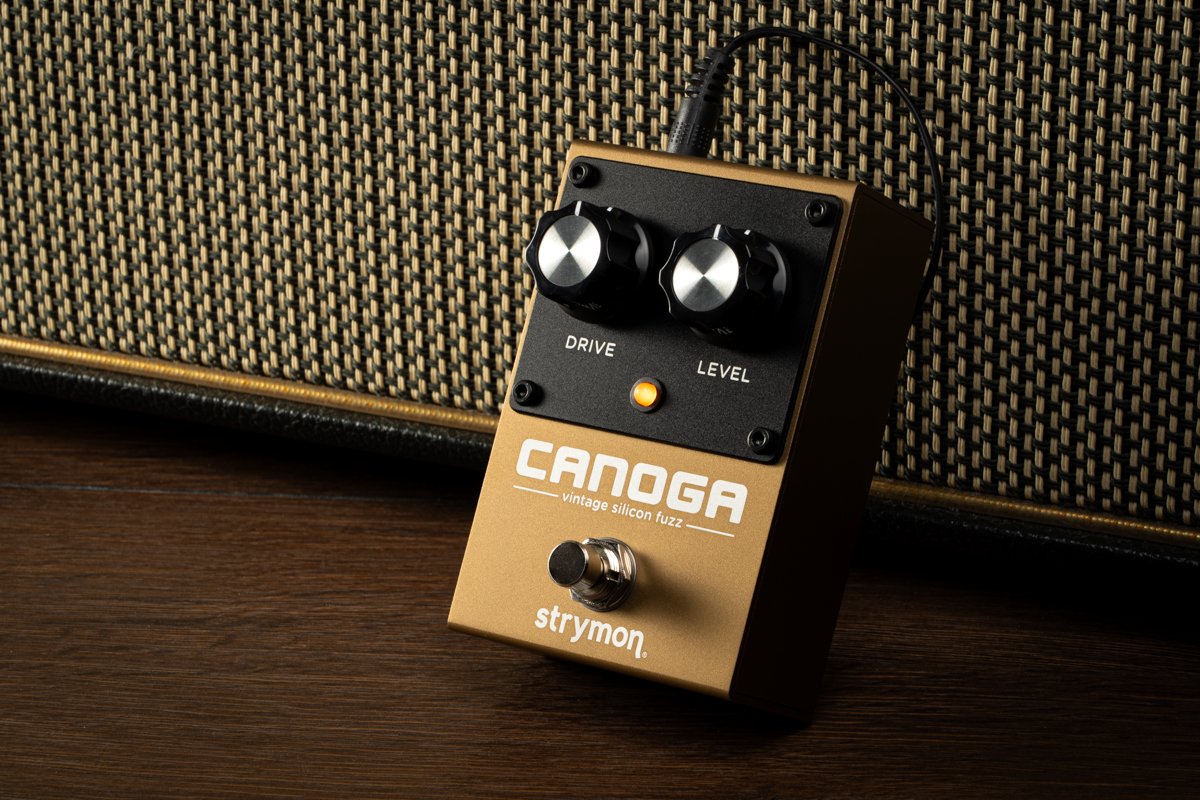 Canoga Vintage silicon