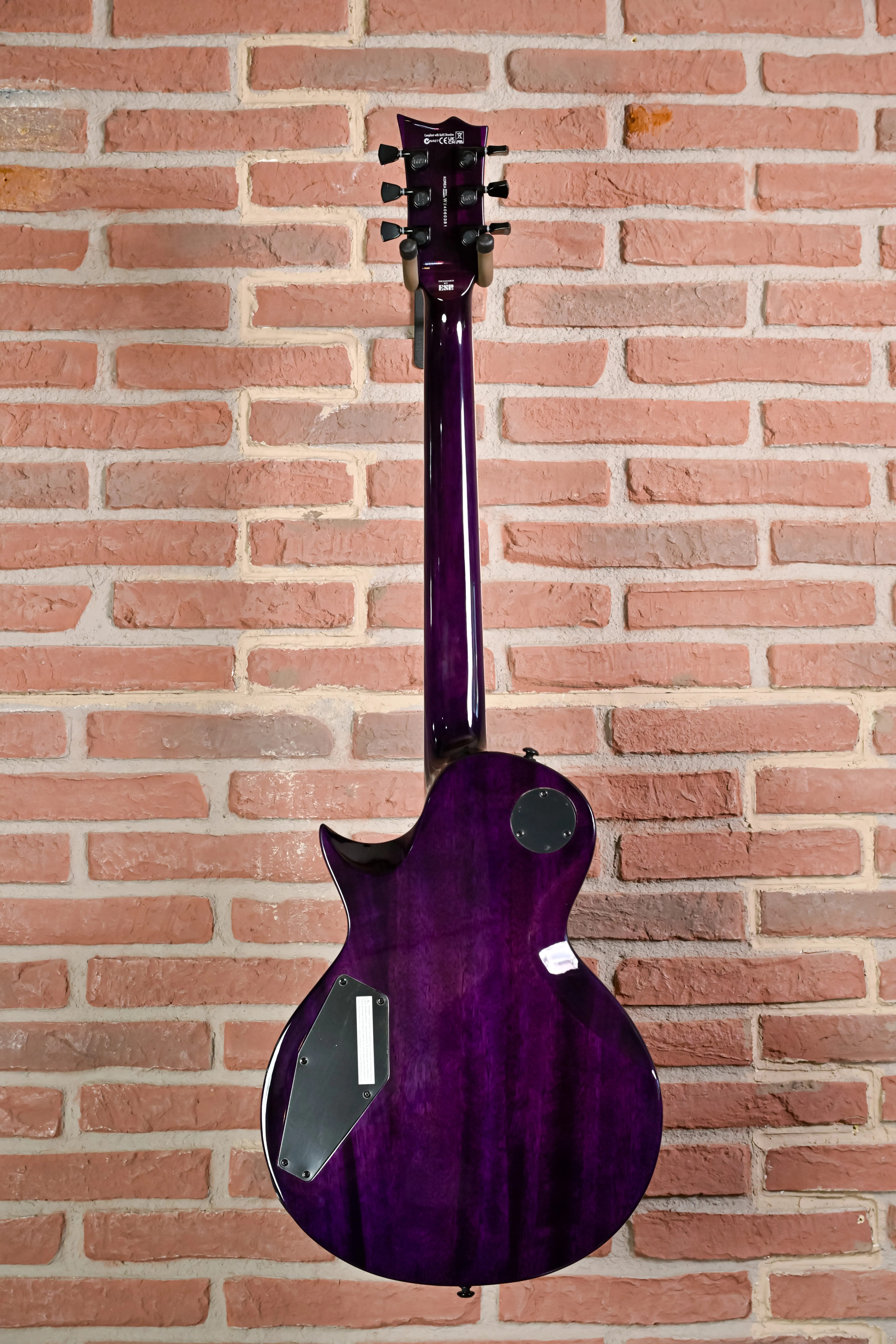 EC-1000 FMSTP Flamed Maple See Thru Purple E-Gitarre