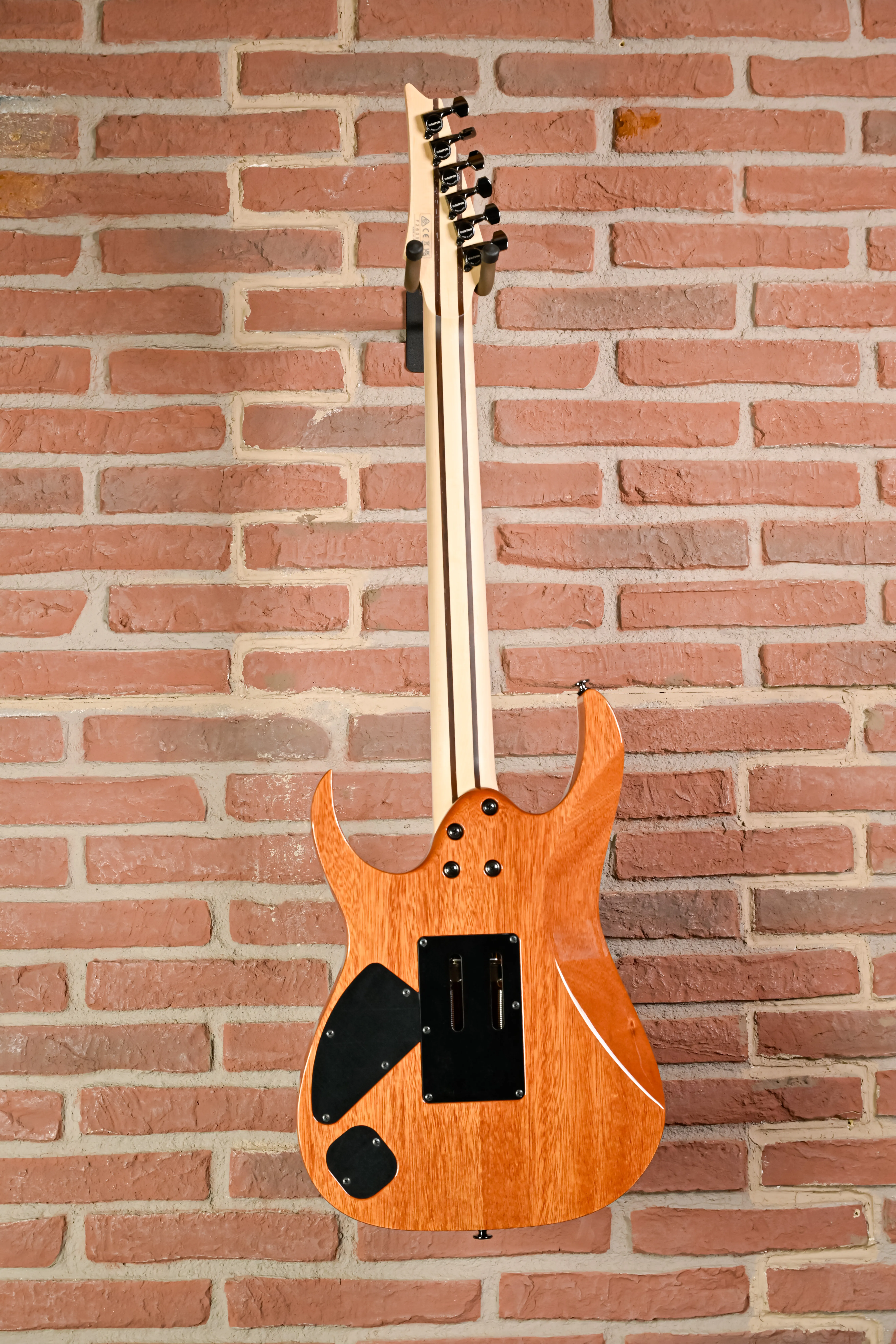 Ibanez RG5320R-CSW Prestige Hinteransicht