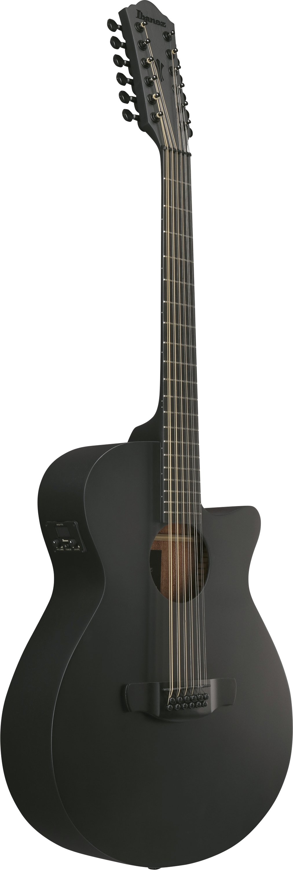 AEG1221-BOT 12-Saiter Westerngitarre