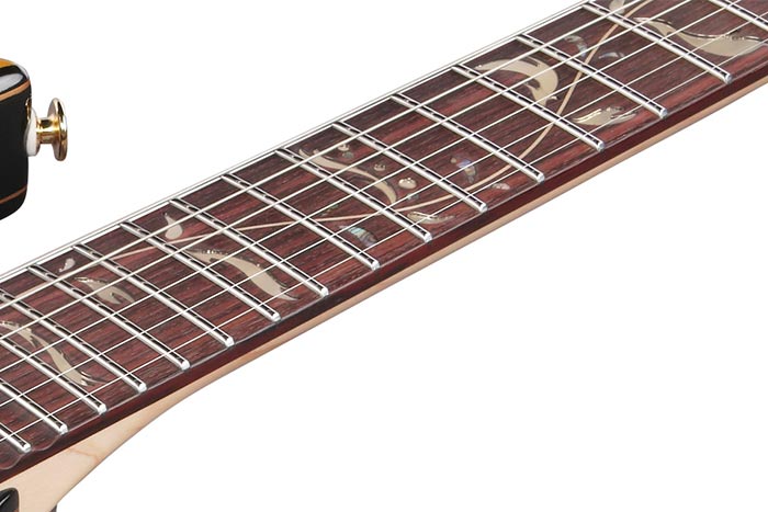 PIA77BON2 Steve Vai Signature E-Gitarre