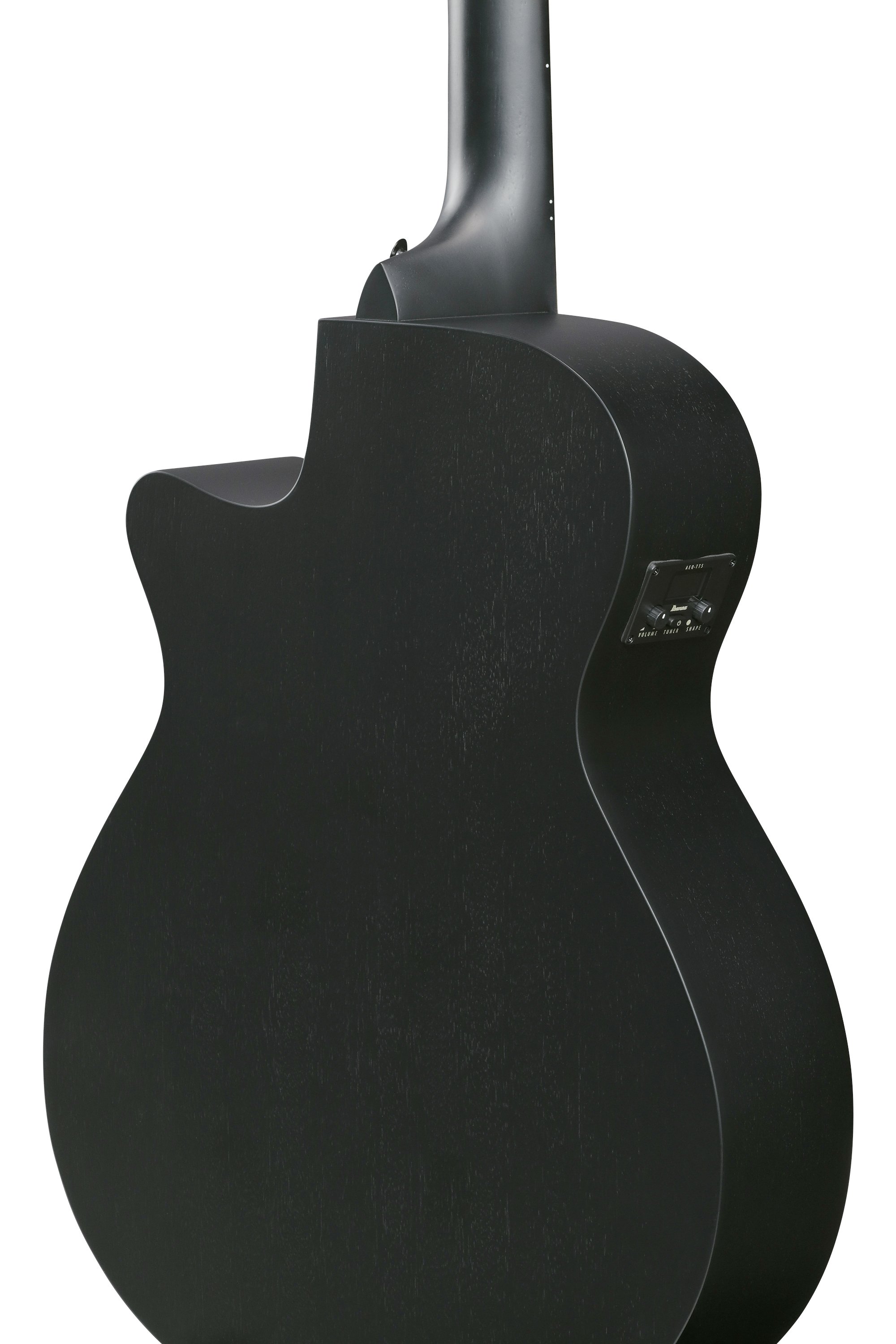 AEG1221-BOT 12-Saiter Westerngitarre