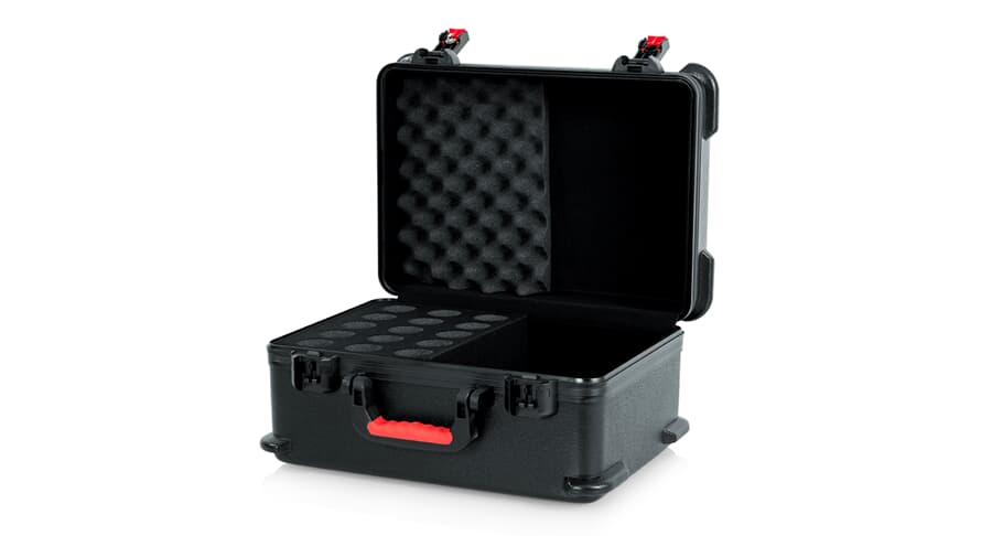 GTSA-MIC15