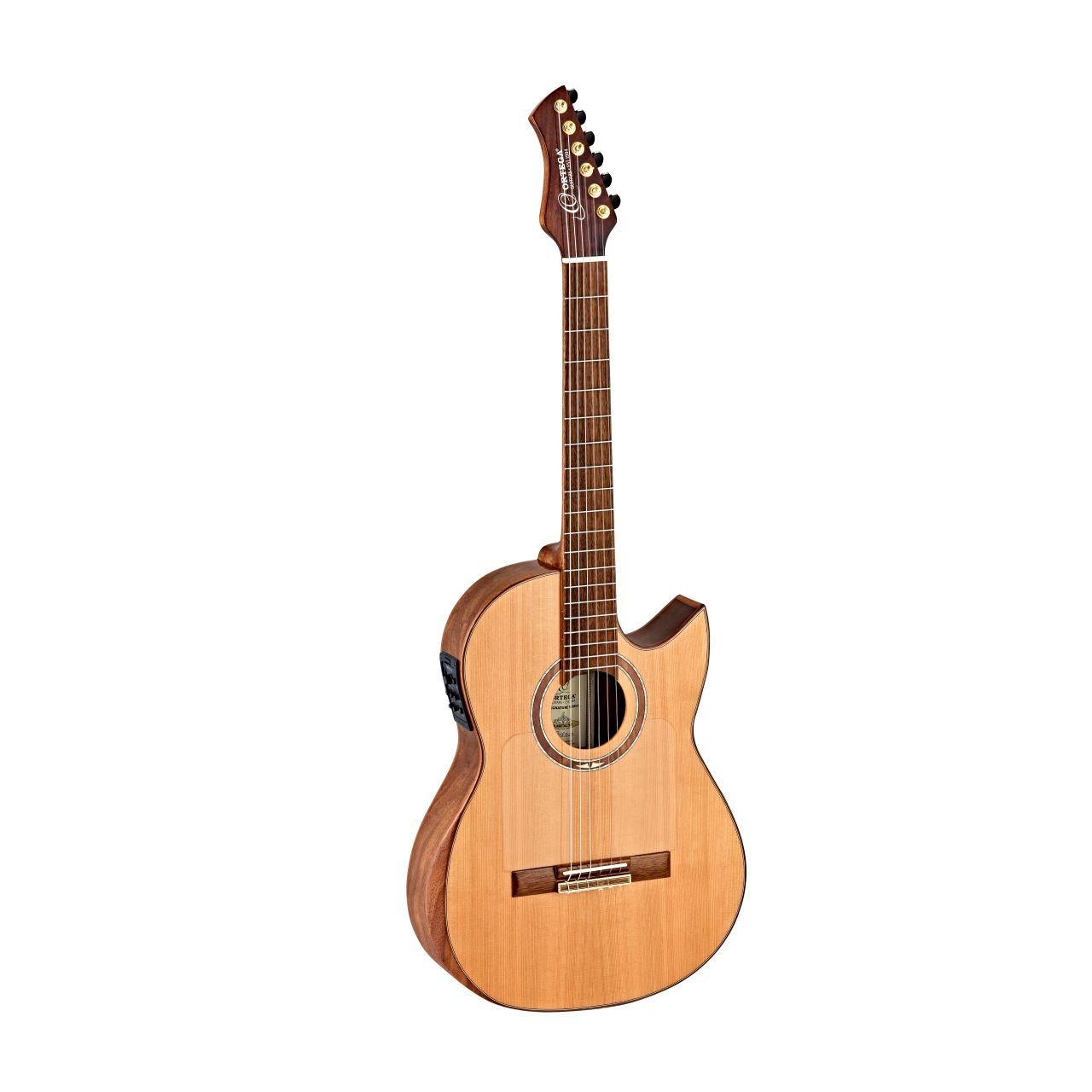 FLAMETAL-TWO Ben Woods Signature Gitarre inkl. Bag