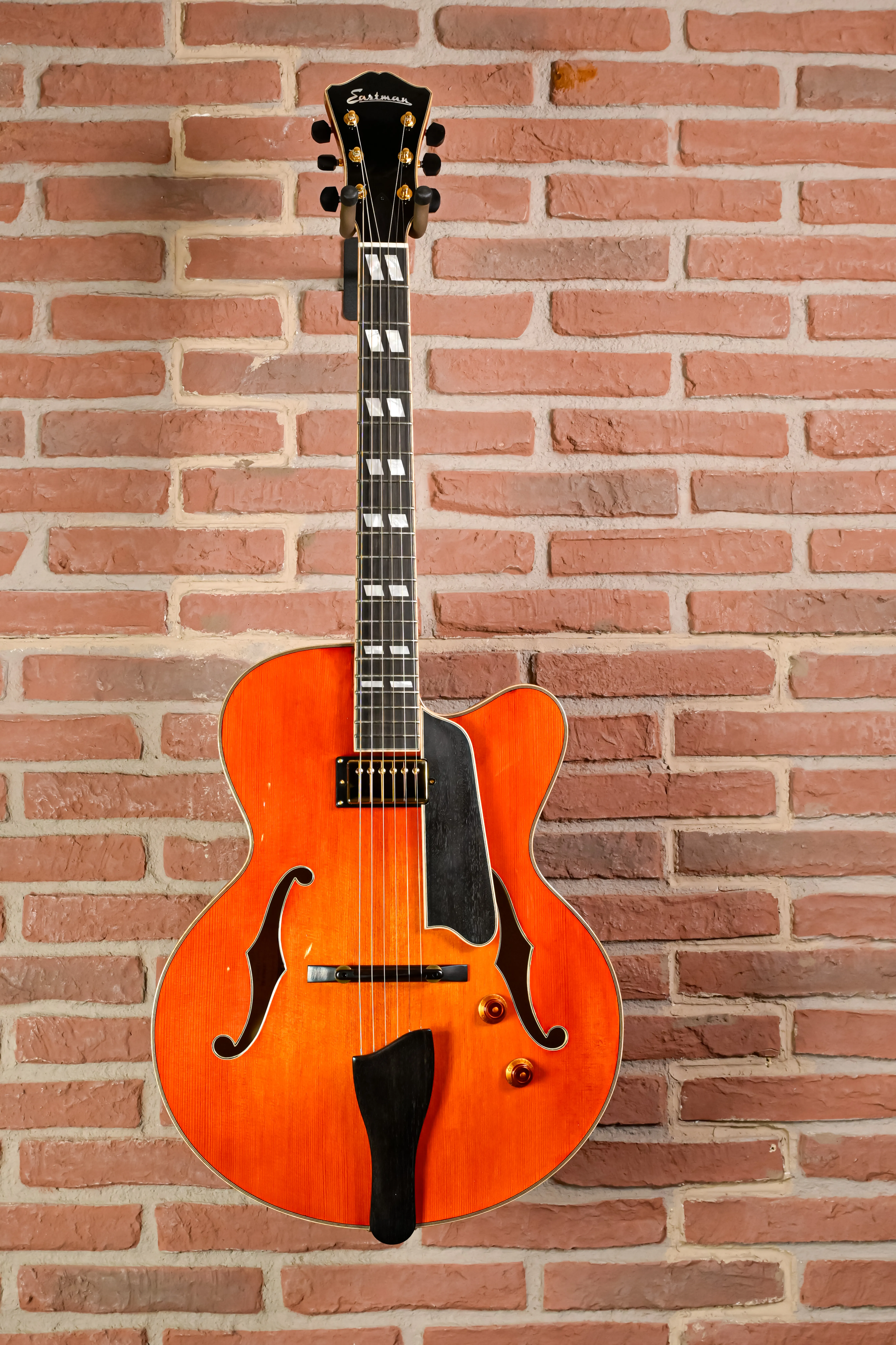 Vorderansicht der Eastman AR580CE-HB in Honeyburst  