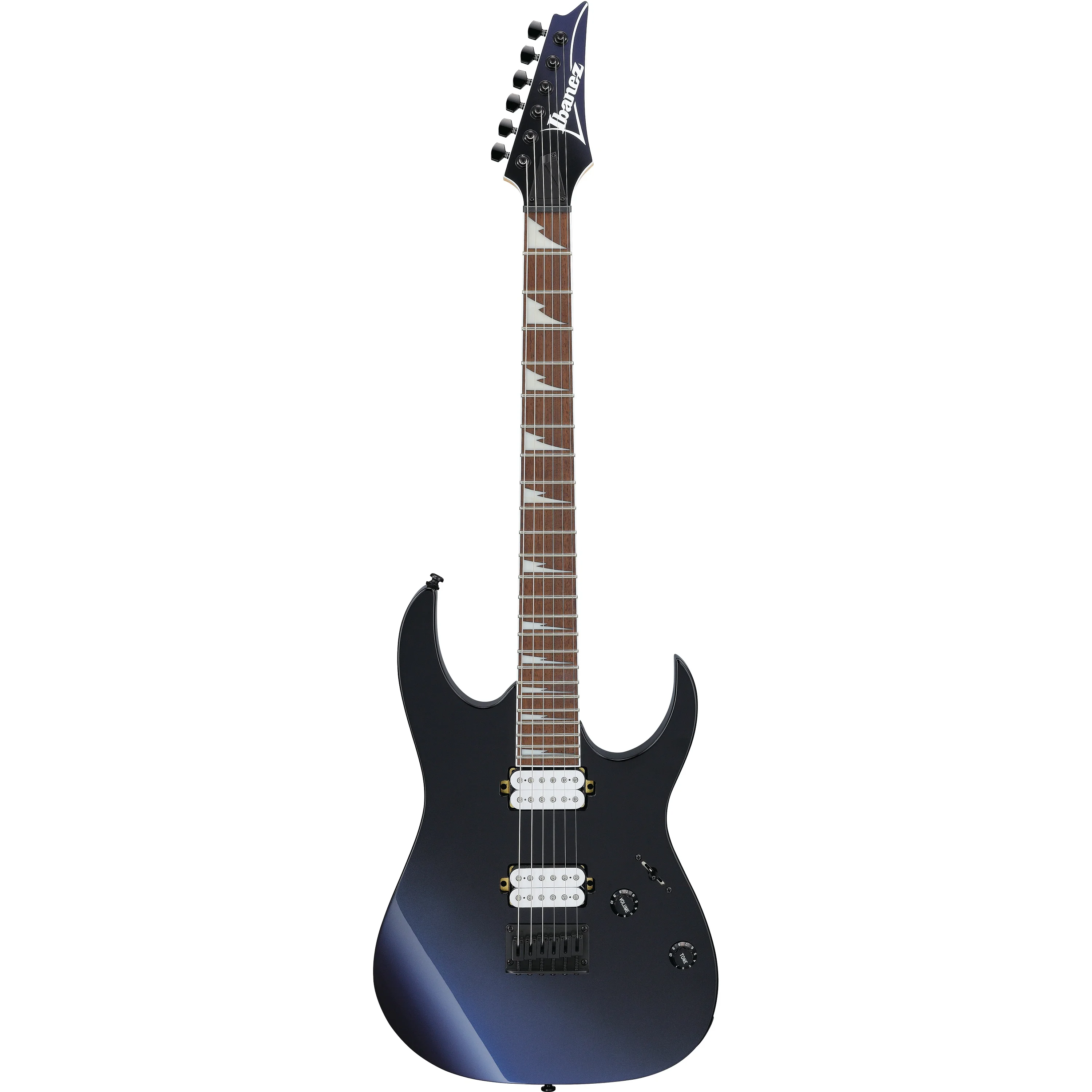 E-Gitarre Ibanez RG421DX-TWS Gesamtansicht