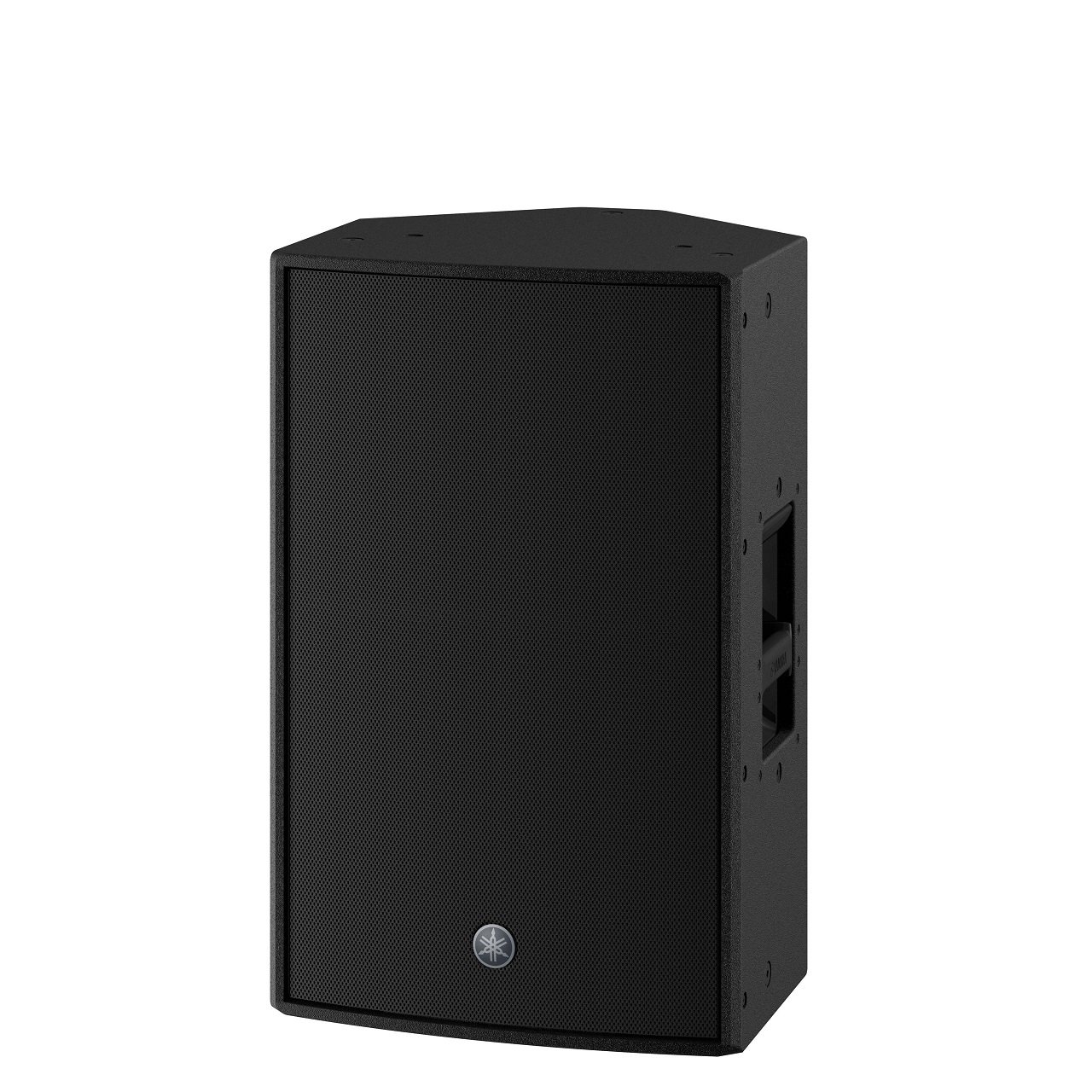 DZR12 - Aktiver Lautsprecher mit DSP