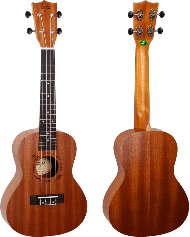 NUC310 Concert Ukulele Set