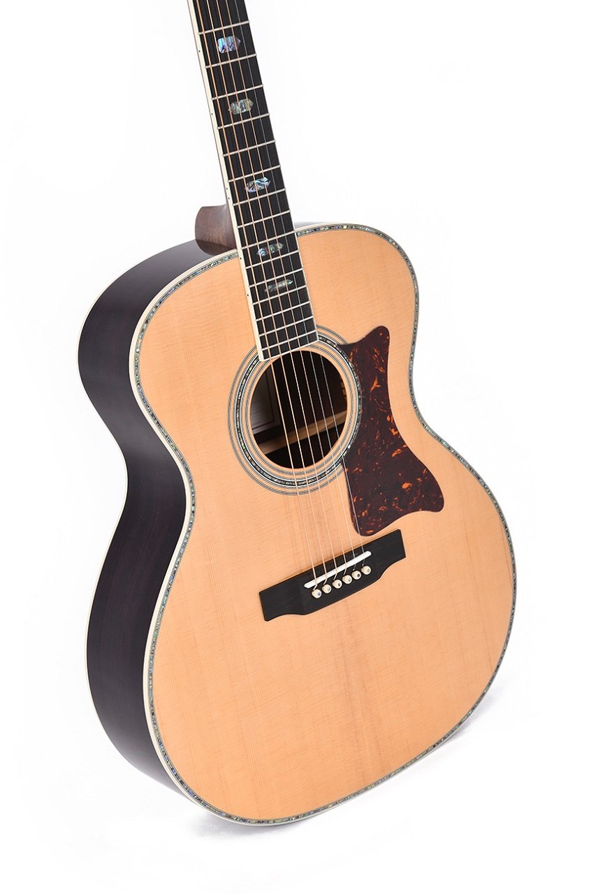 SGR-41 Custom Gitarre