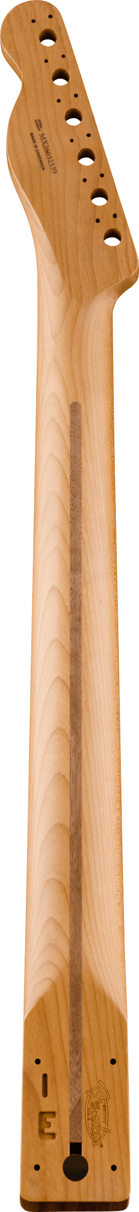 Player II Series Telecaster Roasted Maple Neck Rosewood 