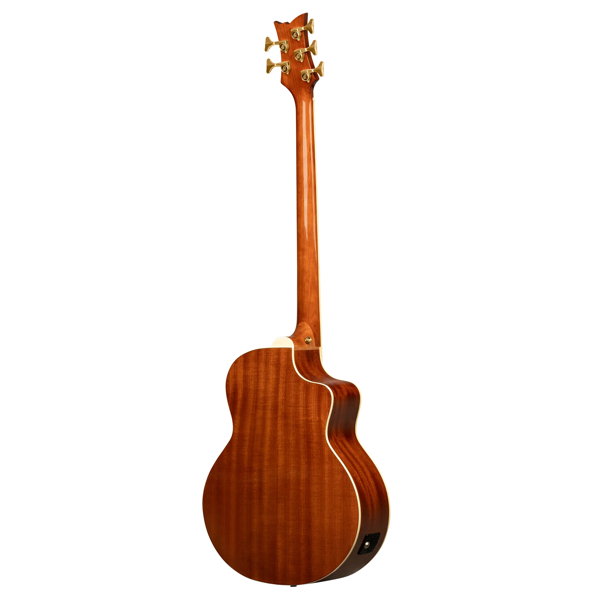 D8CE-5-L 5-Saiter Akustikbass Lefhand