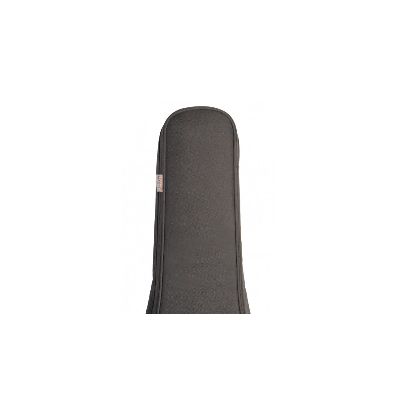 EBS 1.0 N Economic Tasche für E-Bass