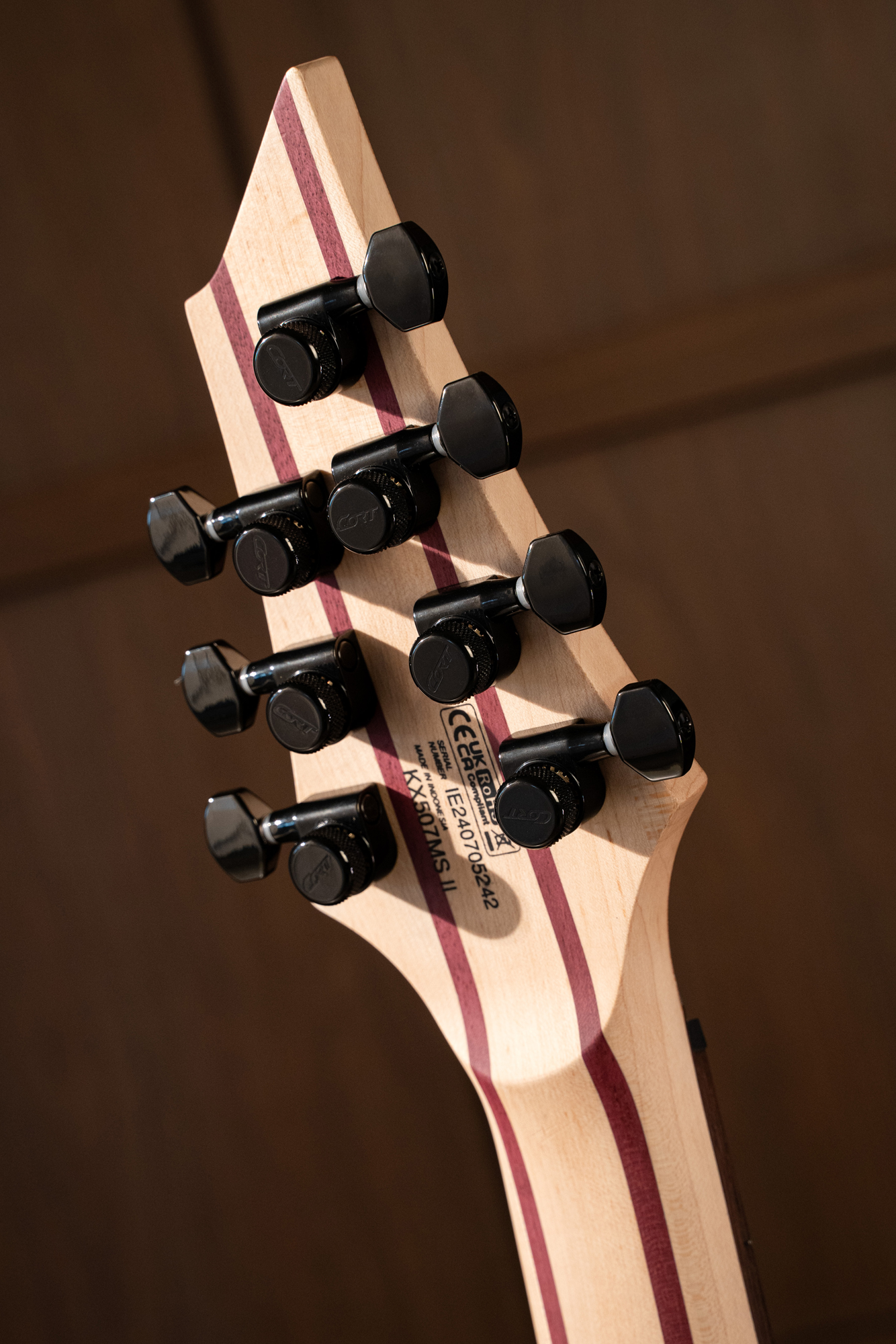KX507MS Pale Moon Ebody Natural Black Burst Multiscale E-Gitarre