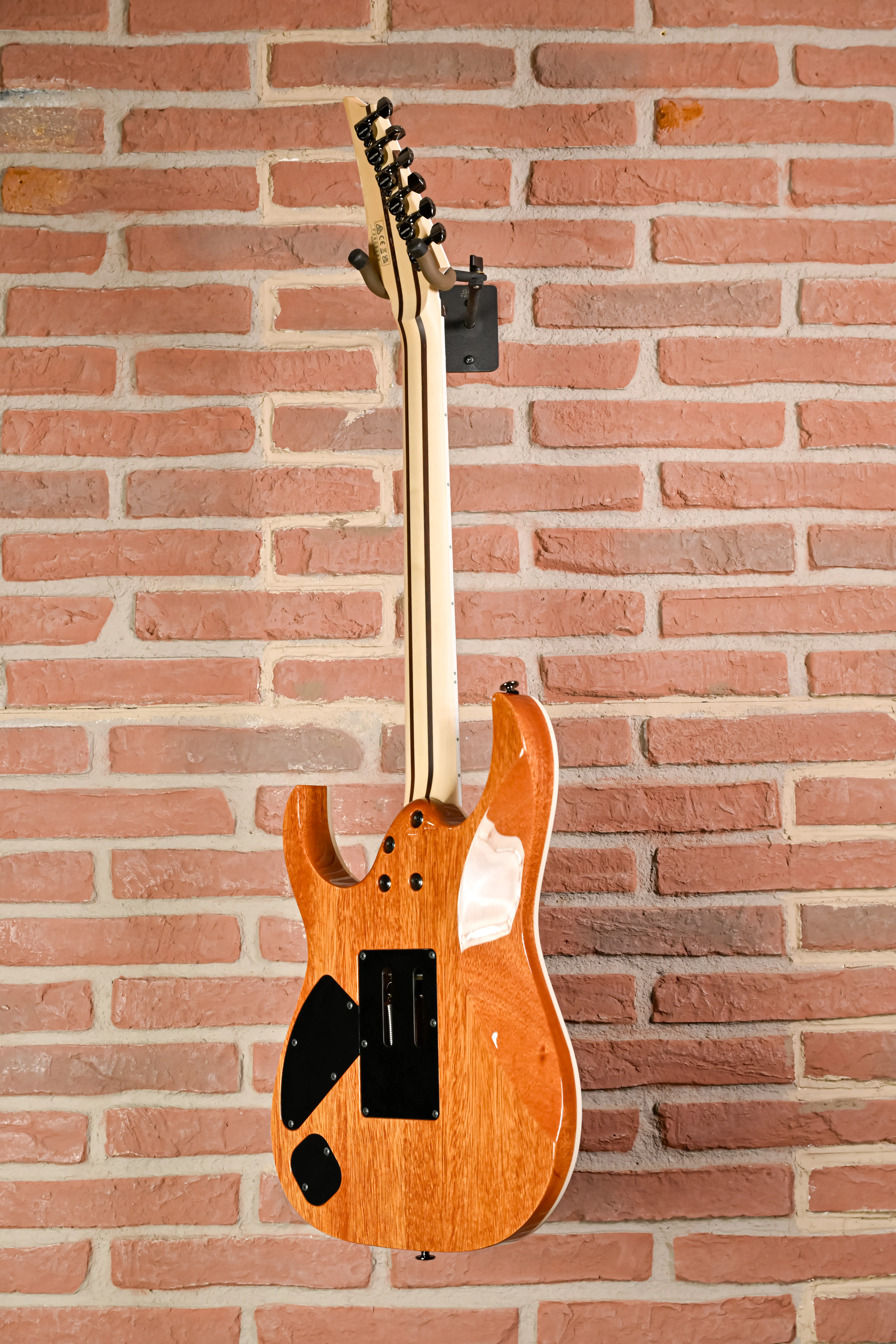 Ibanez RG5320R-CSW Prestige Gitarrenbody Detail