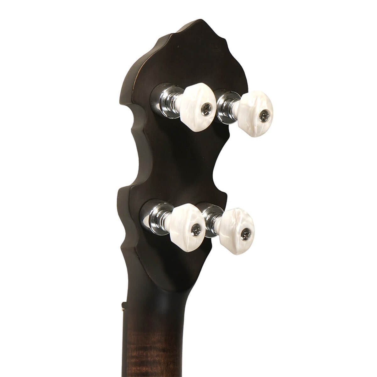 IT-17 Irish Tenor Banjo