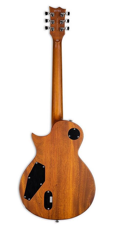 LTD EC-1000TFM HBS F - E-Gitarre in Honey Burst Stain