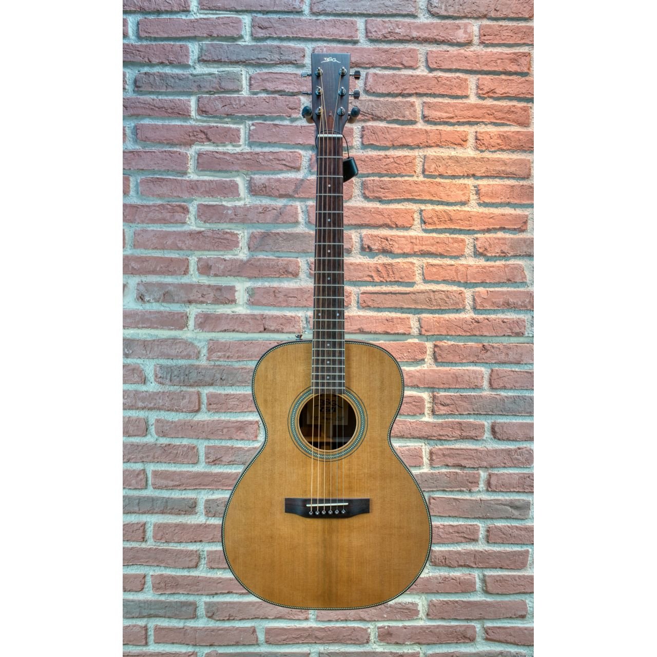 OM 10 F Mahogany - Westerngitarre mit PU