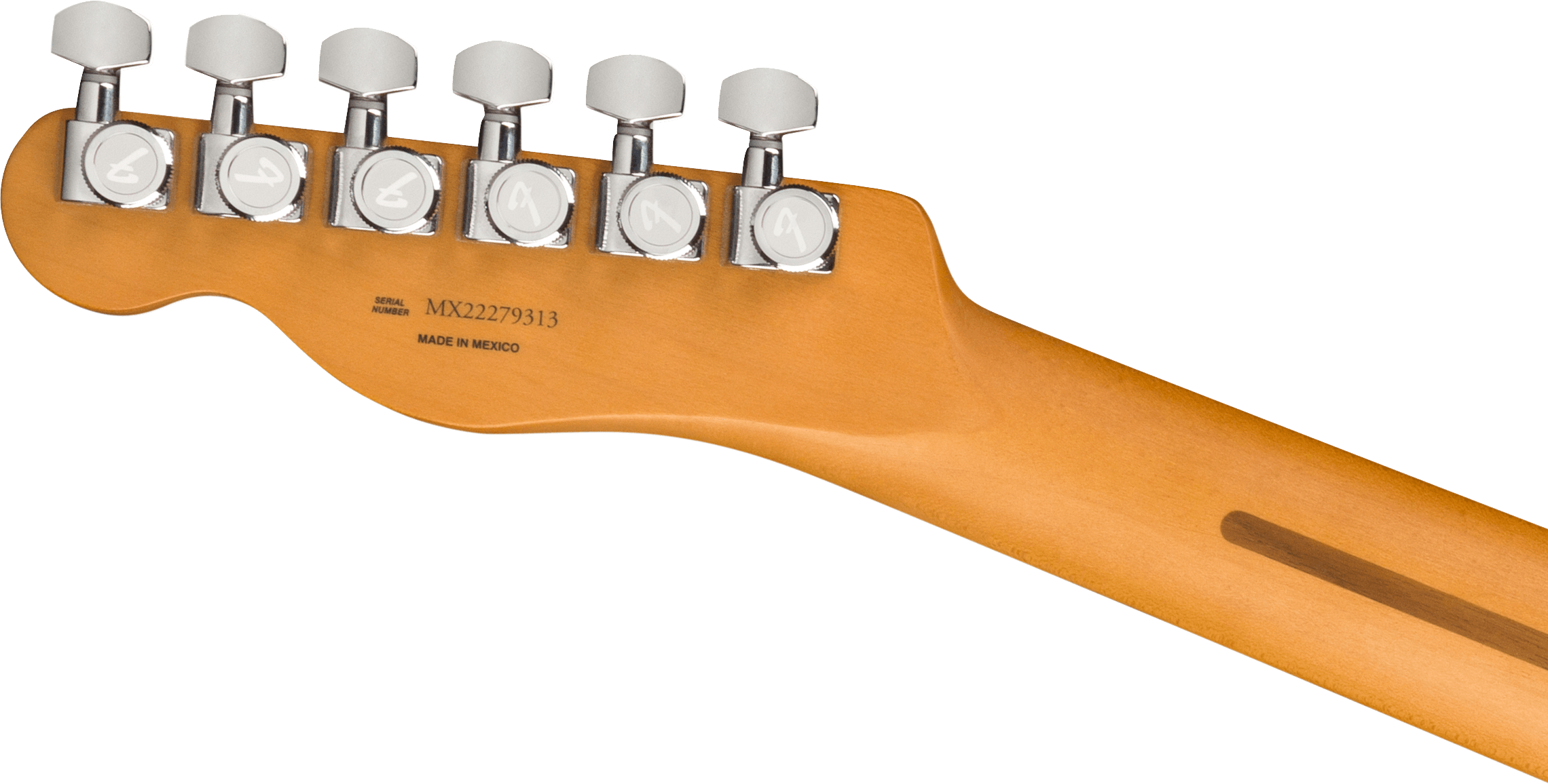 Player Plus Nashville Telecaster®, Pau Ferro Fingerboard, Sienna Sunburst