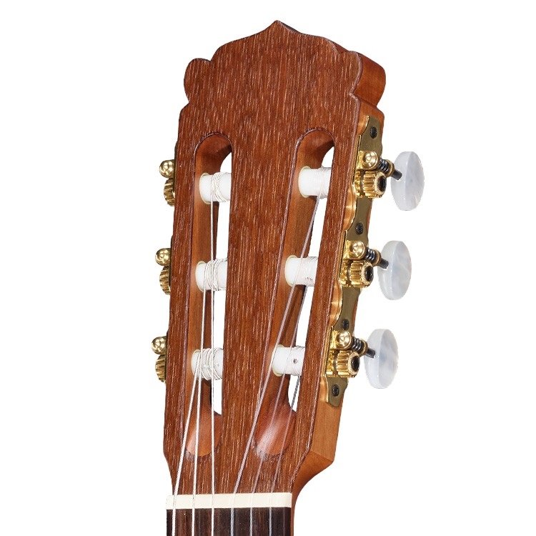 50 TEF Konzertgitarre