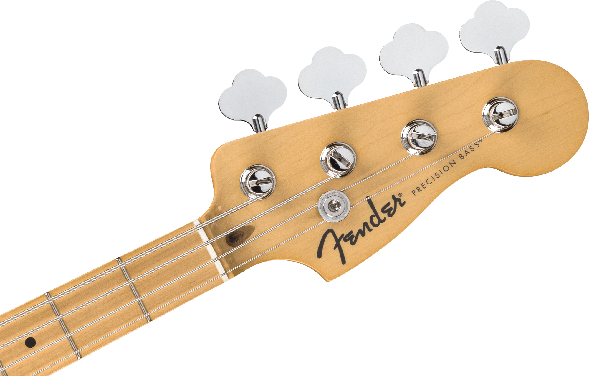Standard Precision Bass Candy Cola