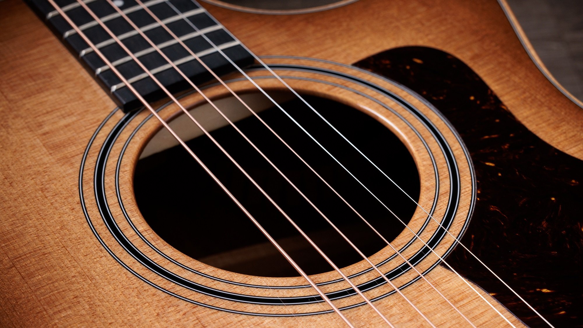 314ce Studio Shaded Edgeburst 