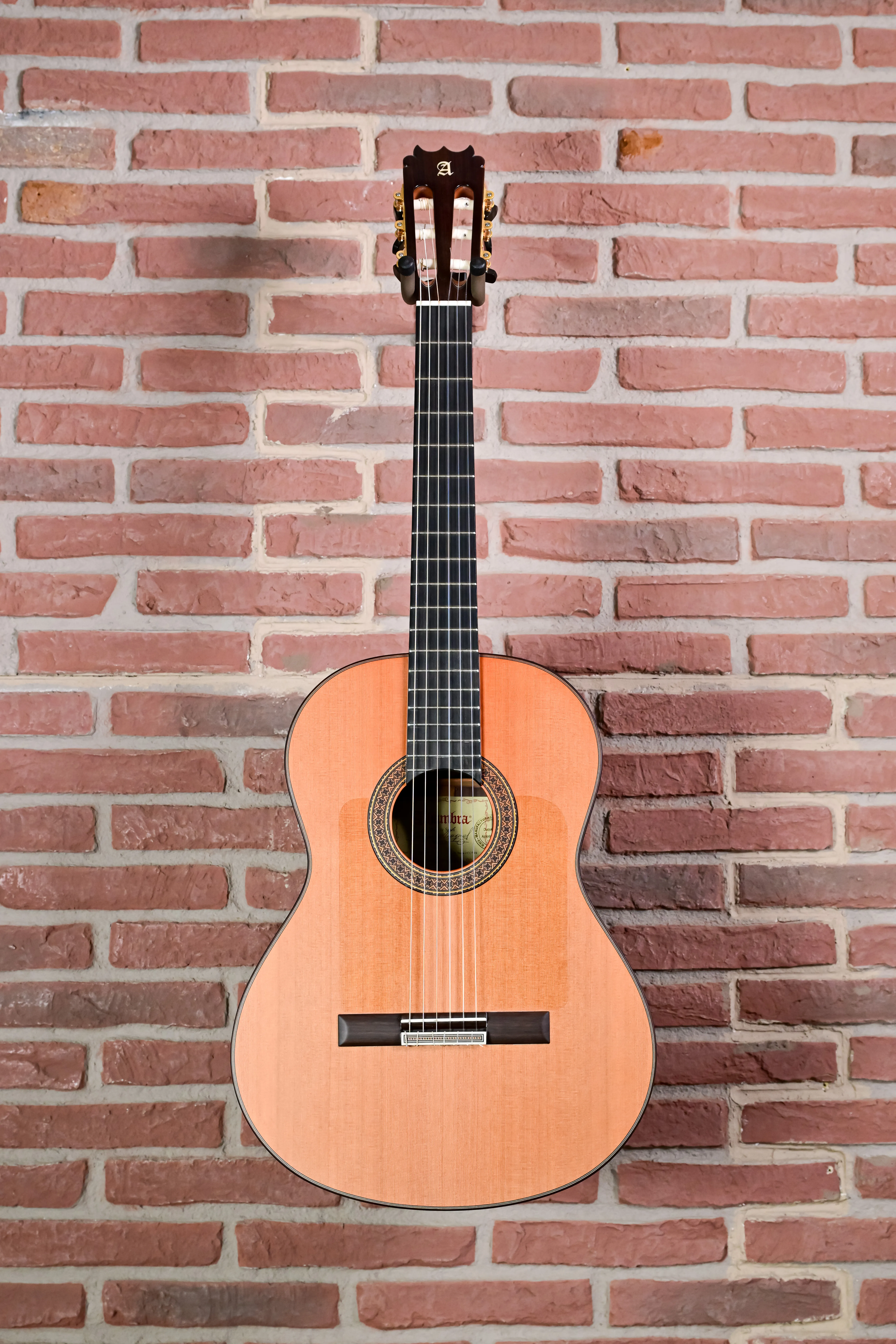 10 Fp Piñana Flamenco