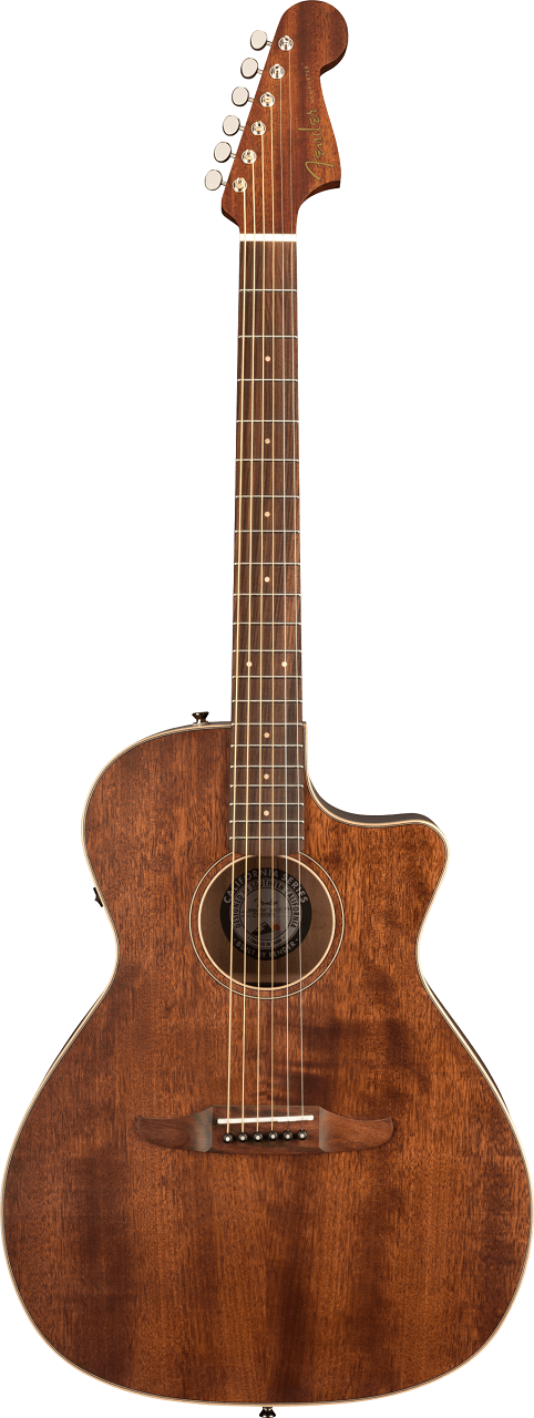 Newporter Special with Gig Bag, All Mahogany, Pau Ferro Fingerboard,  Natural