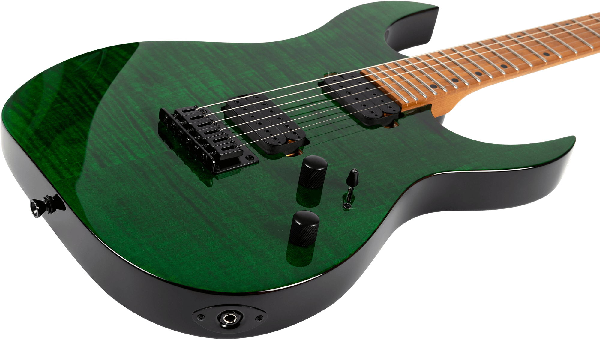 S-450 TGR E-Gitarre