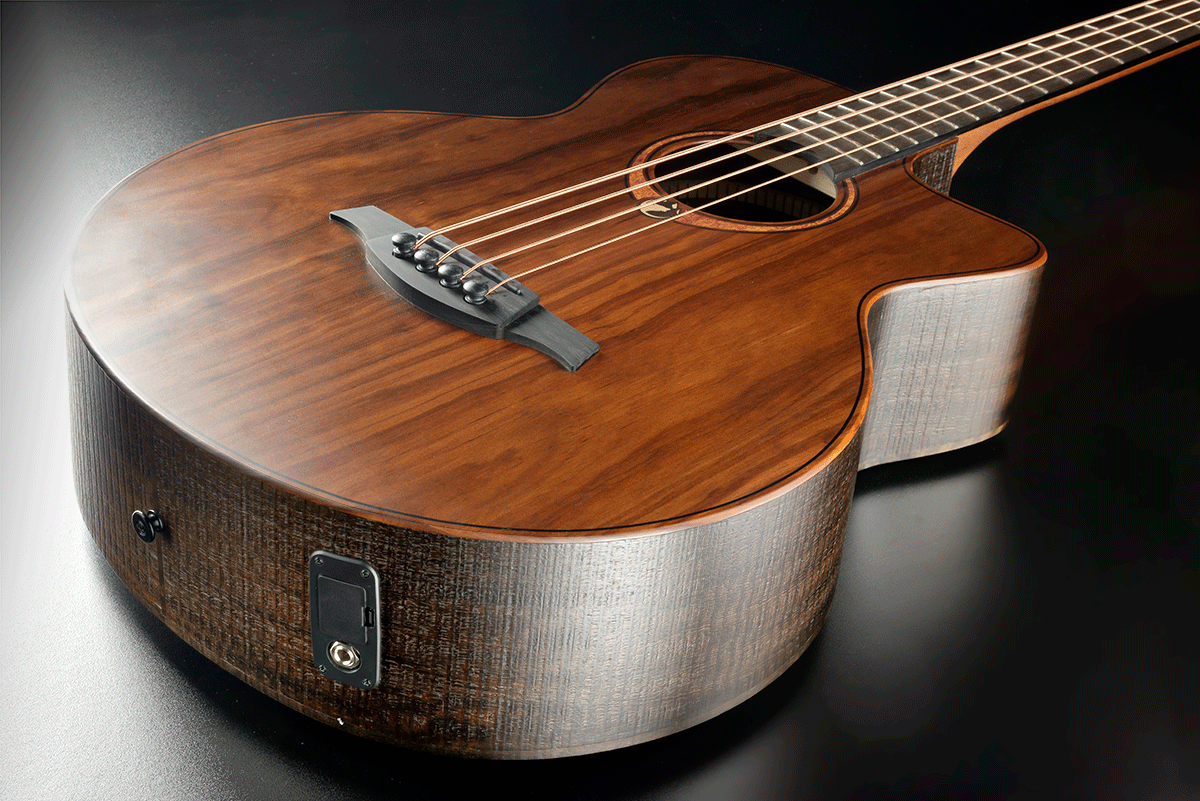 Sauvage BCE Acoustic Bass Elektroakustisch