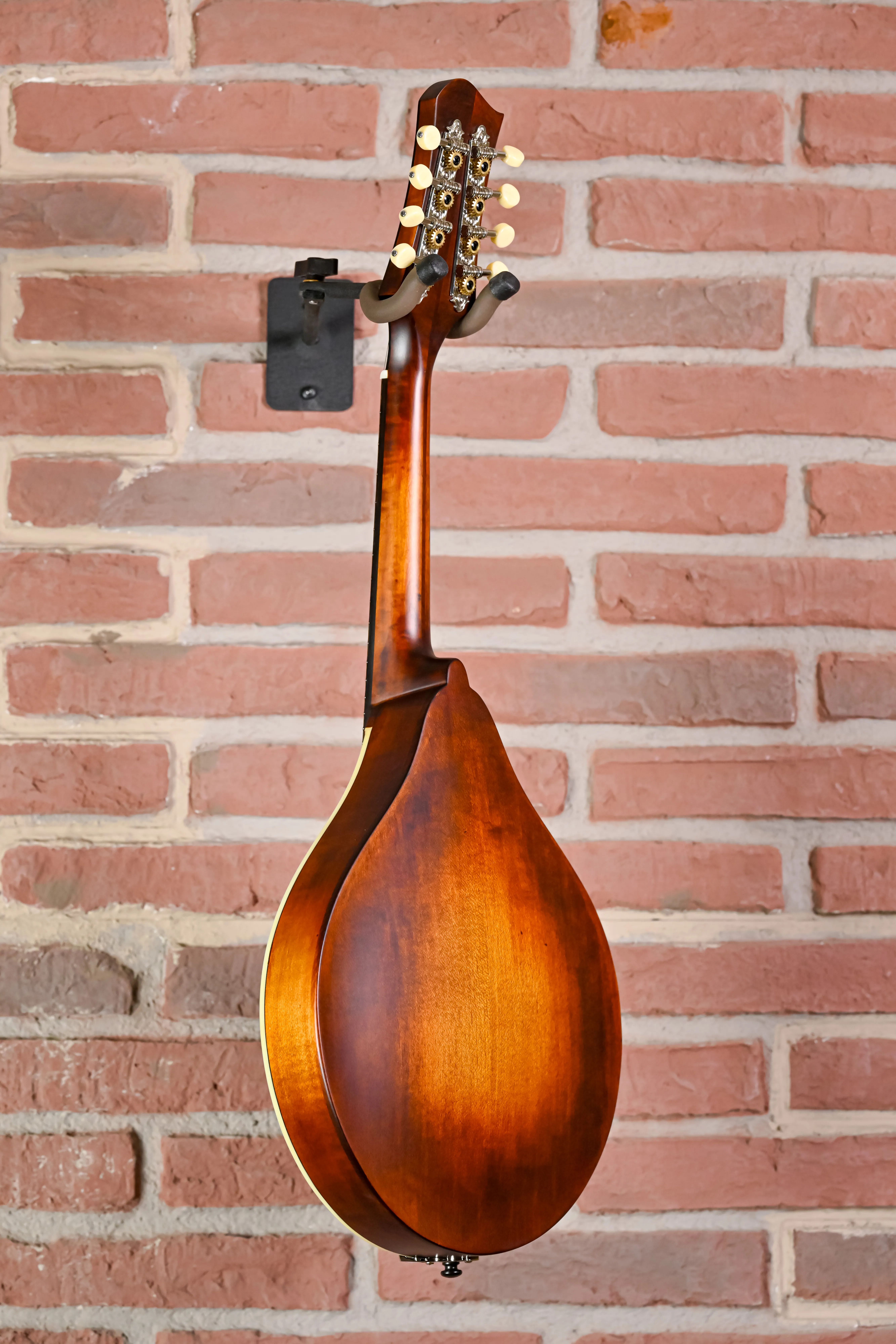 Eastman MD305 Adirondack massive Bauweise