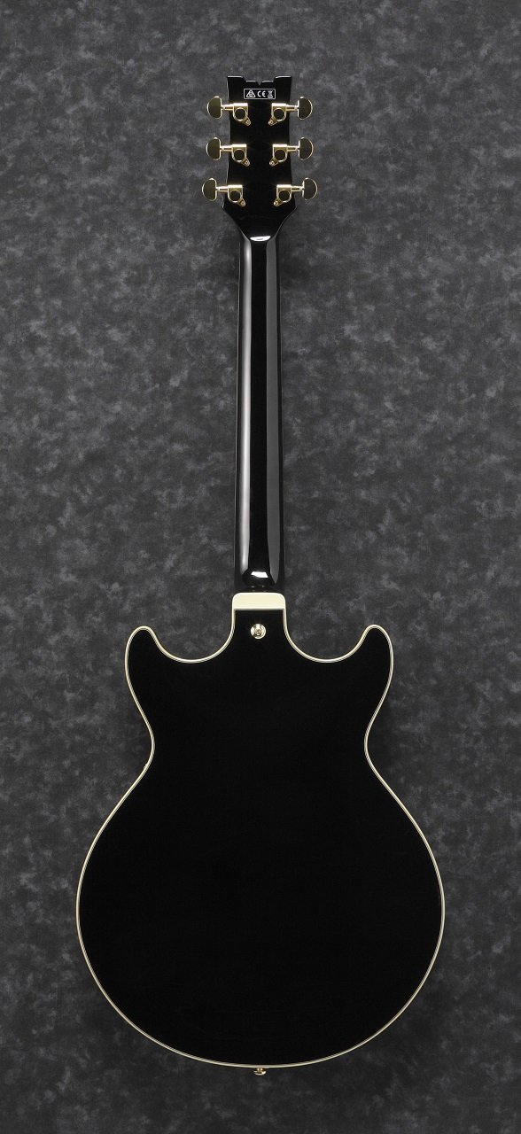 AMH90-Black Hollowbody E-Gitarre