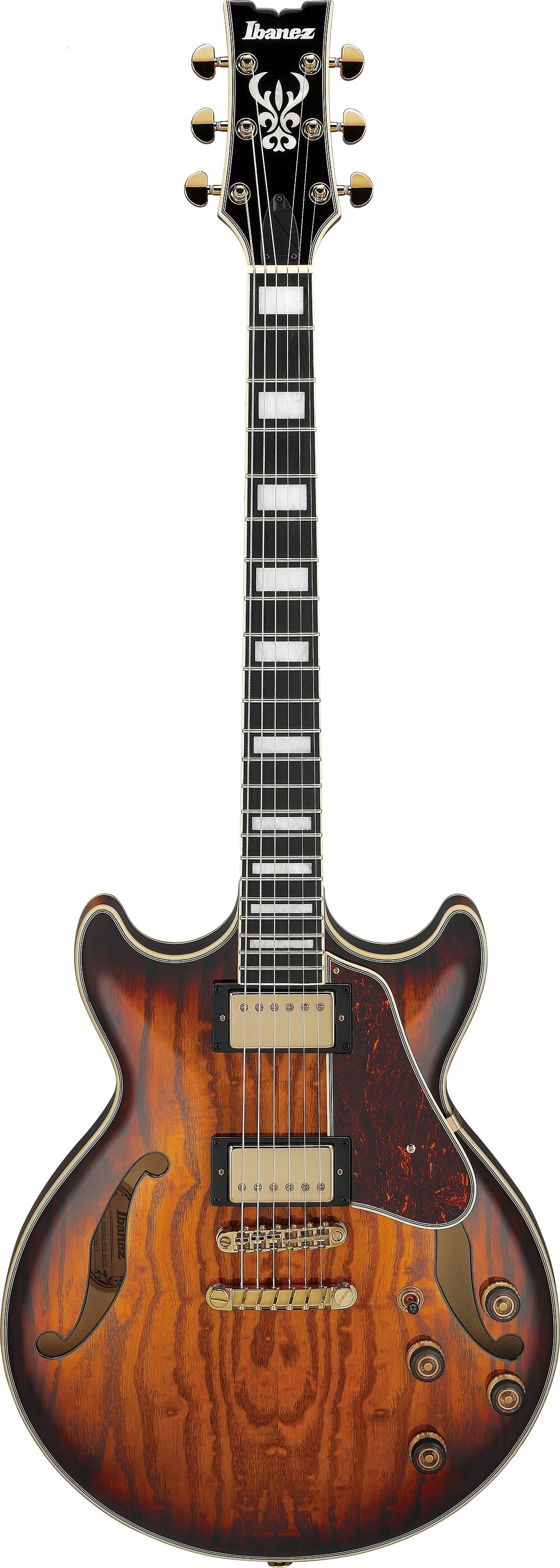 AM93QA-VVH Hollowbody Gitarre