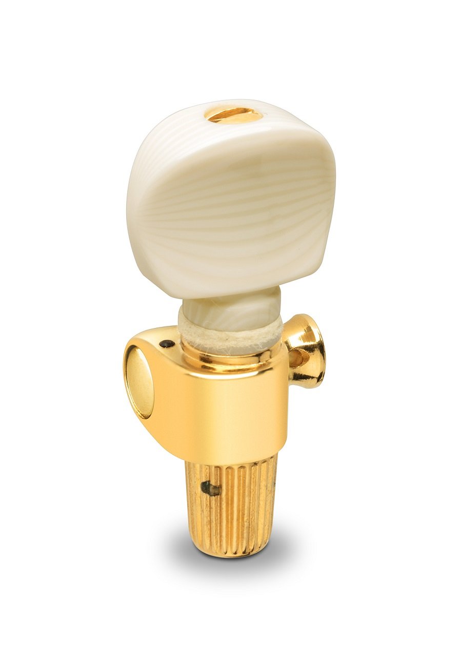 Banjo B5 Galalith Gold