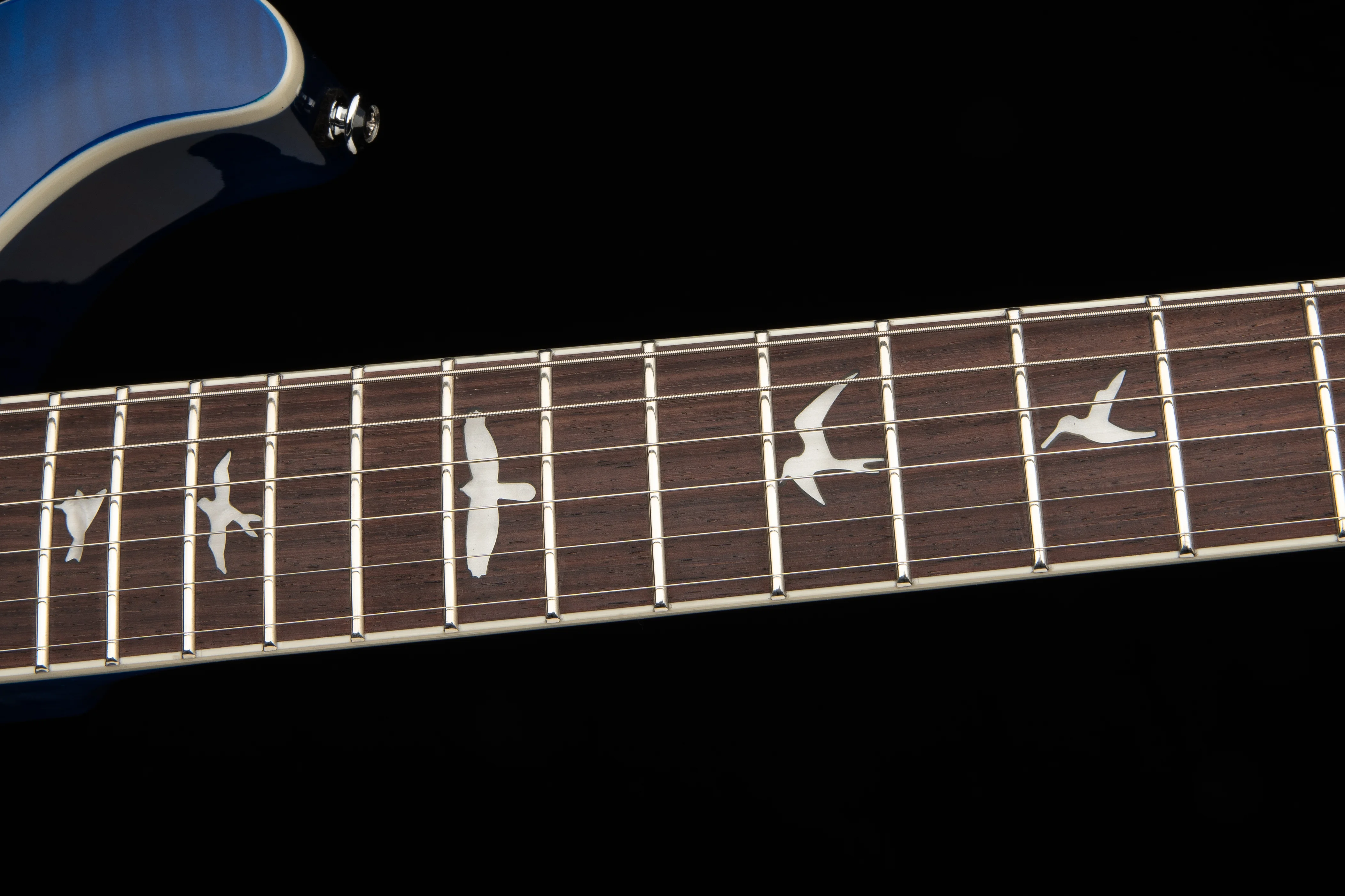 SE Flat Back Hollowbody I Piezo Lake Blue