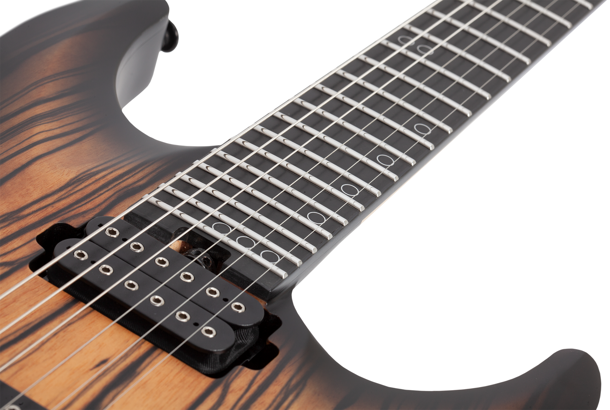 C-1 Pale Moon Satin Natural Black Burst E-Gitarre