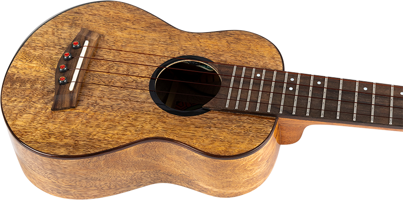 Fireball EQ-A Soprano Ukulele vollmassiv