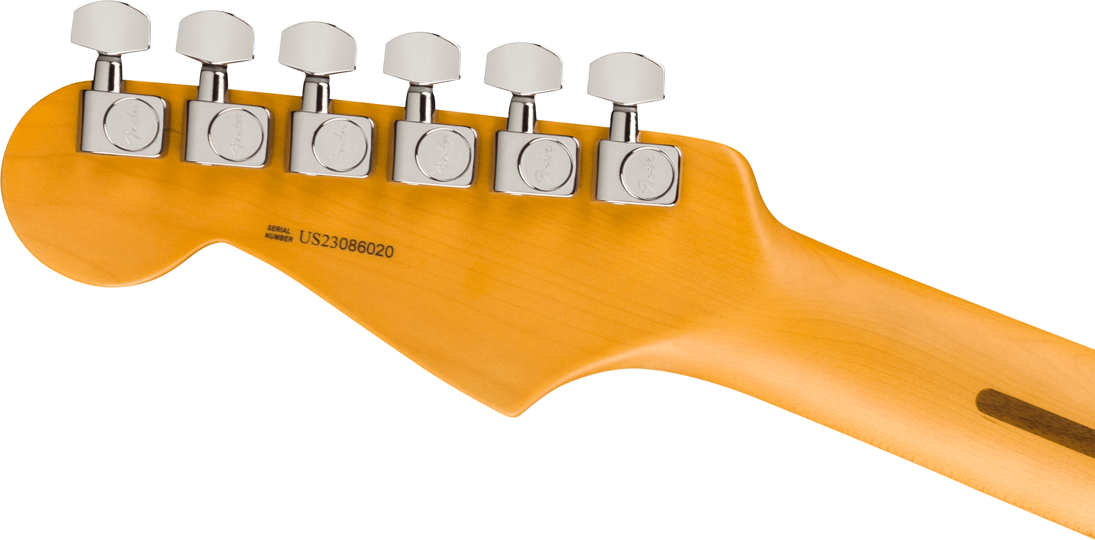 American Professional II Stratocaster® Thinline, Rosewood Fingerboard, Transparent Shell Pink
