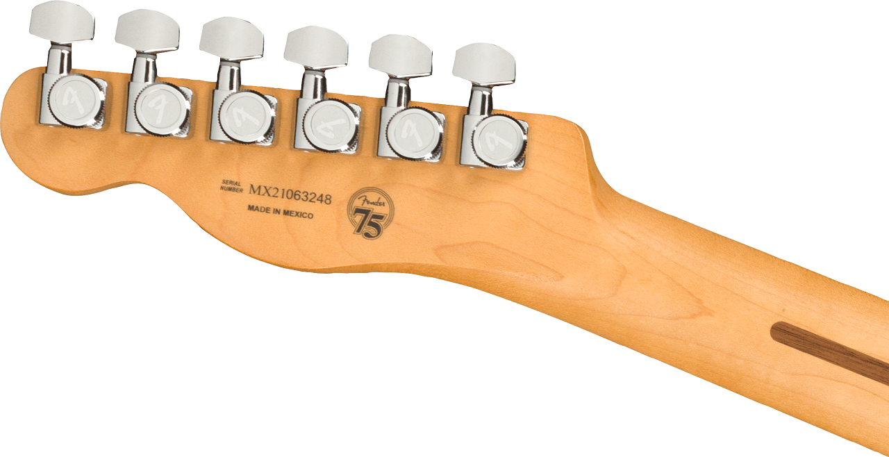 Player Plus Telecaster®, Pau Ferro Fingerboard, Silver Smoke