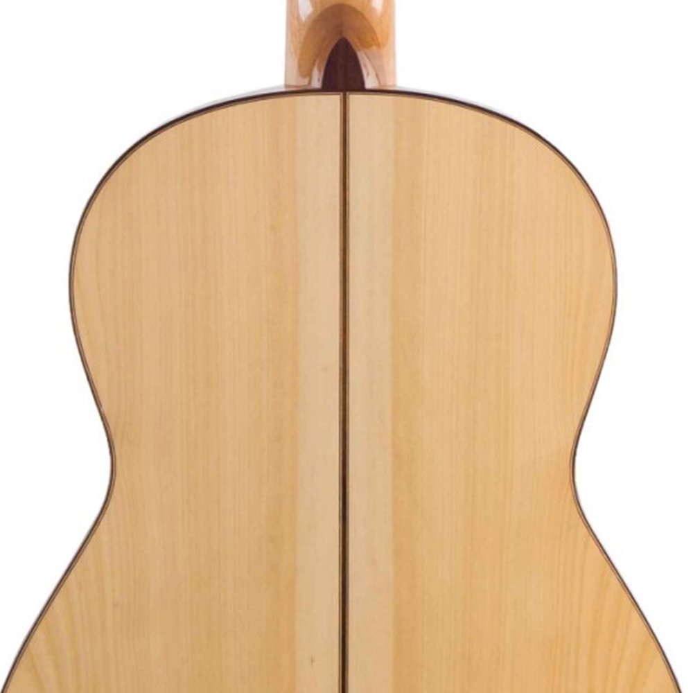Rosa Lucia Flamencogitarre