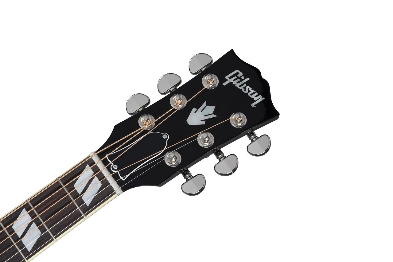 Hummingbird Standard