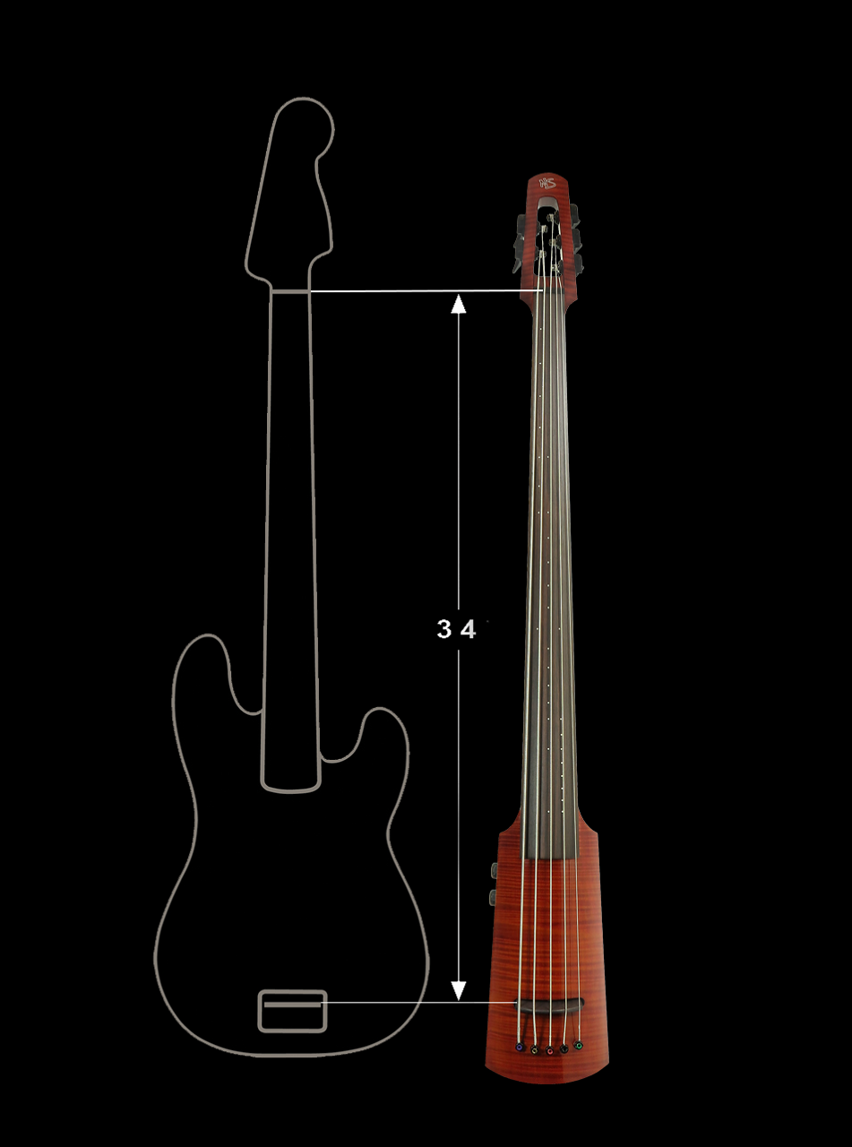 WAV4c-OB-AB Omnibass in Amberburst