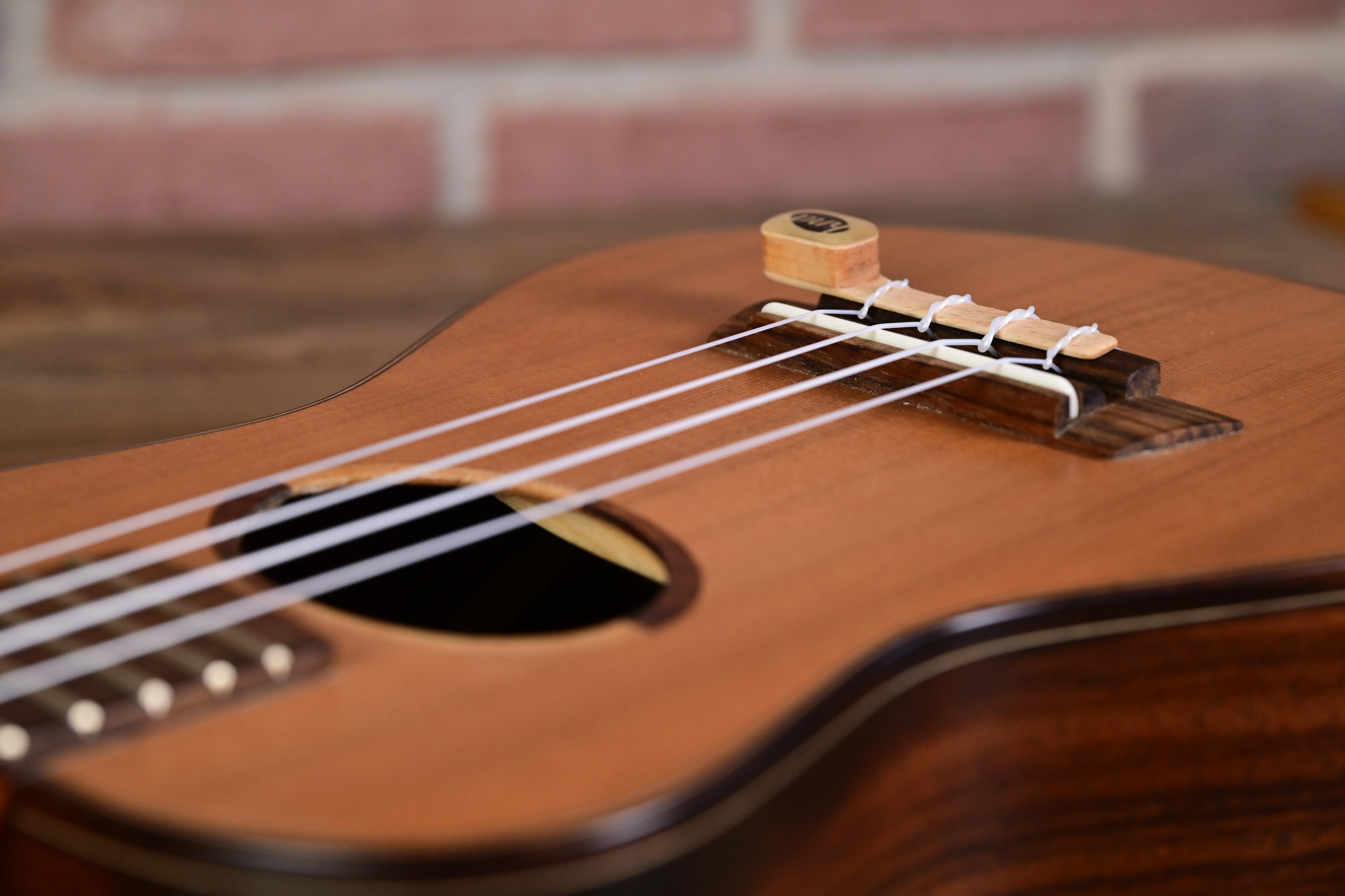 Coco Concert Ukulele