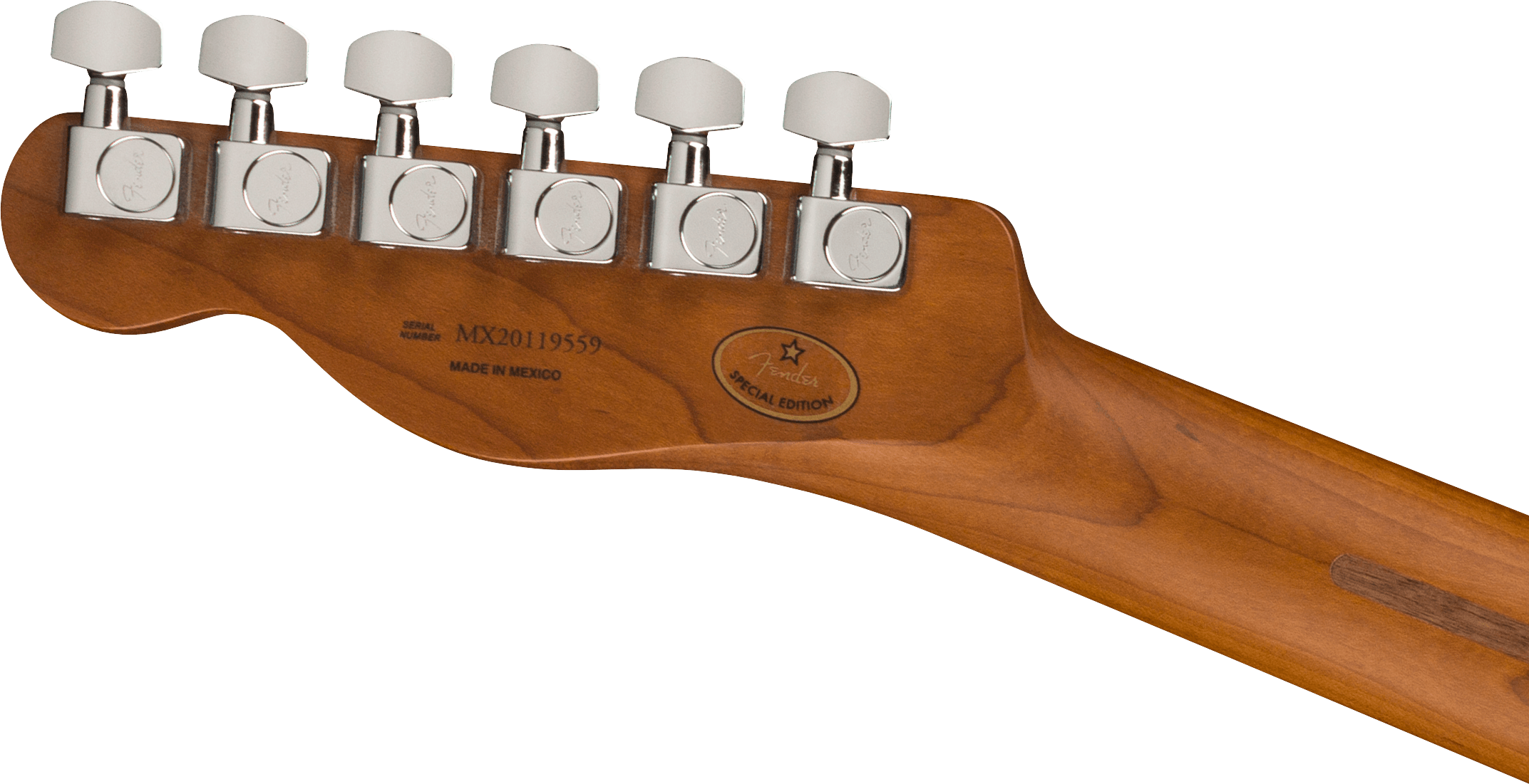 Limited Edition Player Telecaster®, Roasted Sienna Sunburst