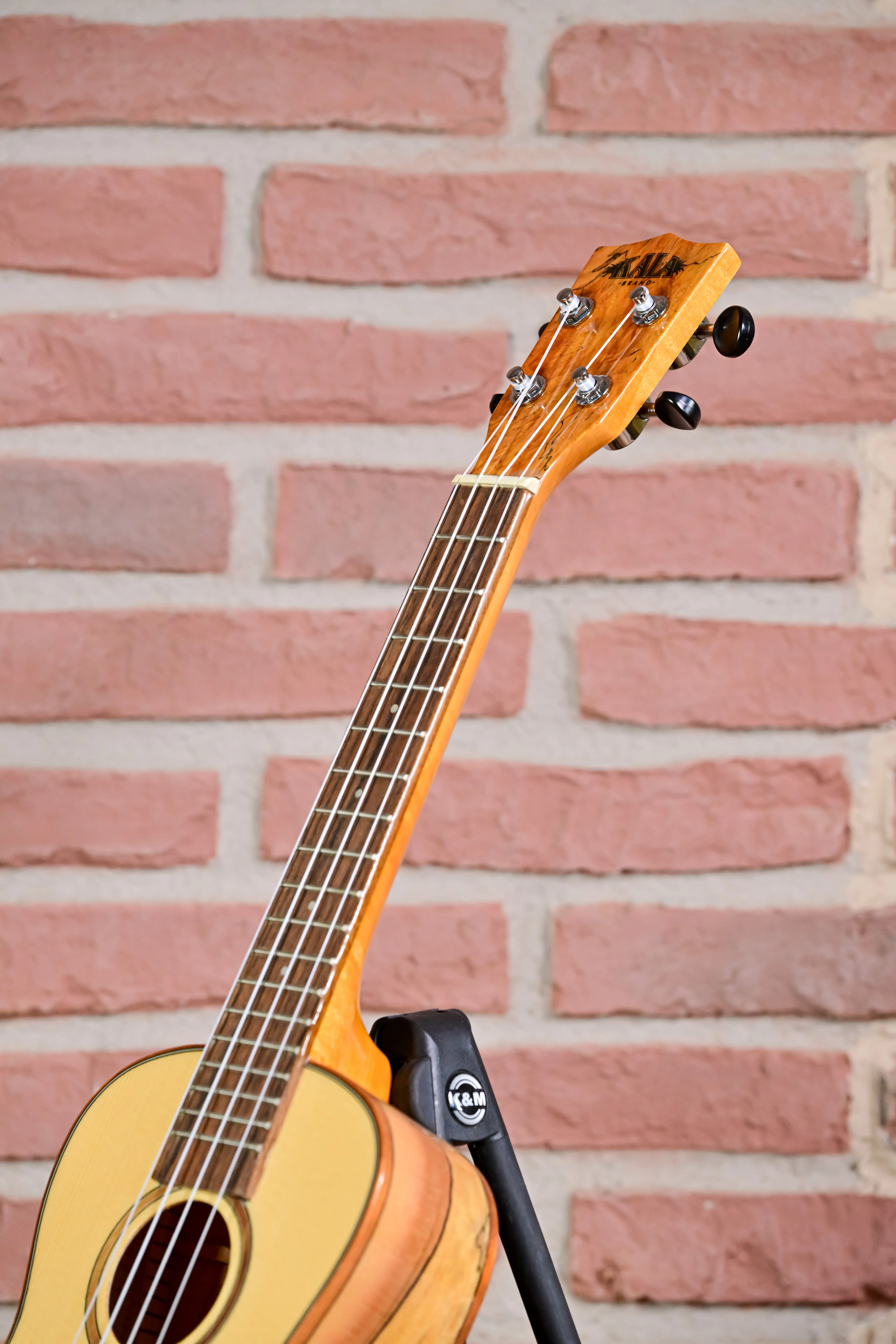Solid Spruce Top Concert Uke  (B-Stock) 