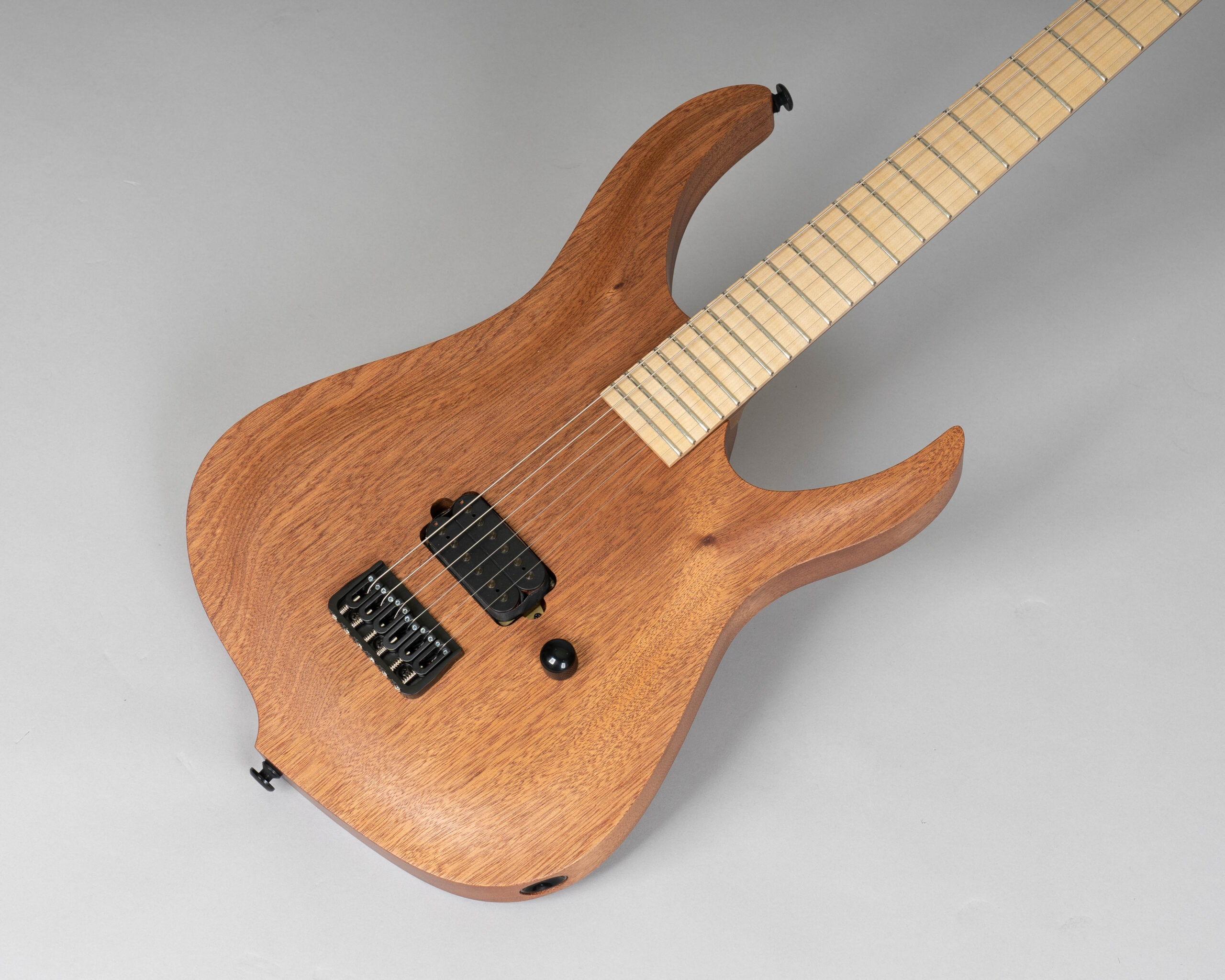 Crusader I E-Gitarre