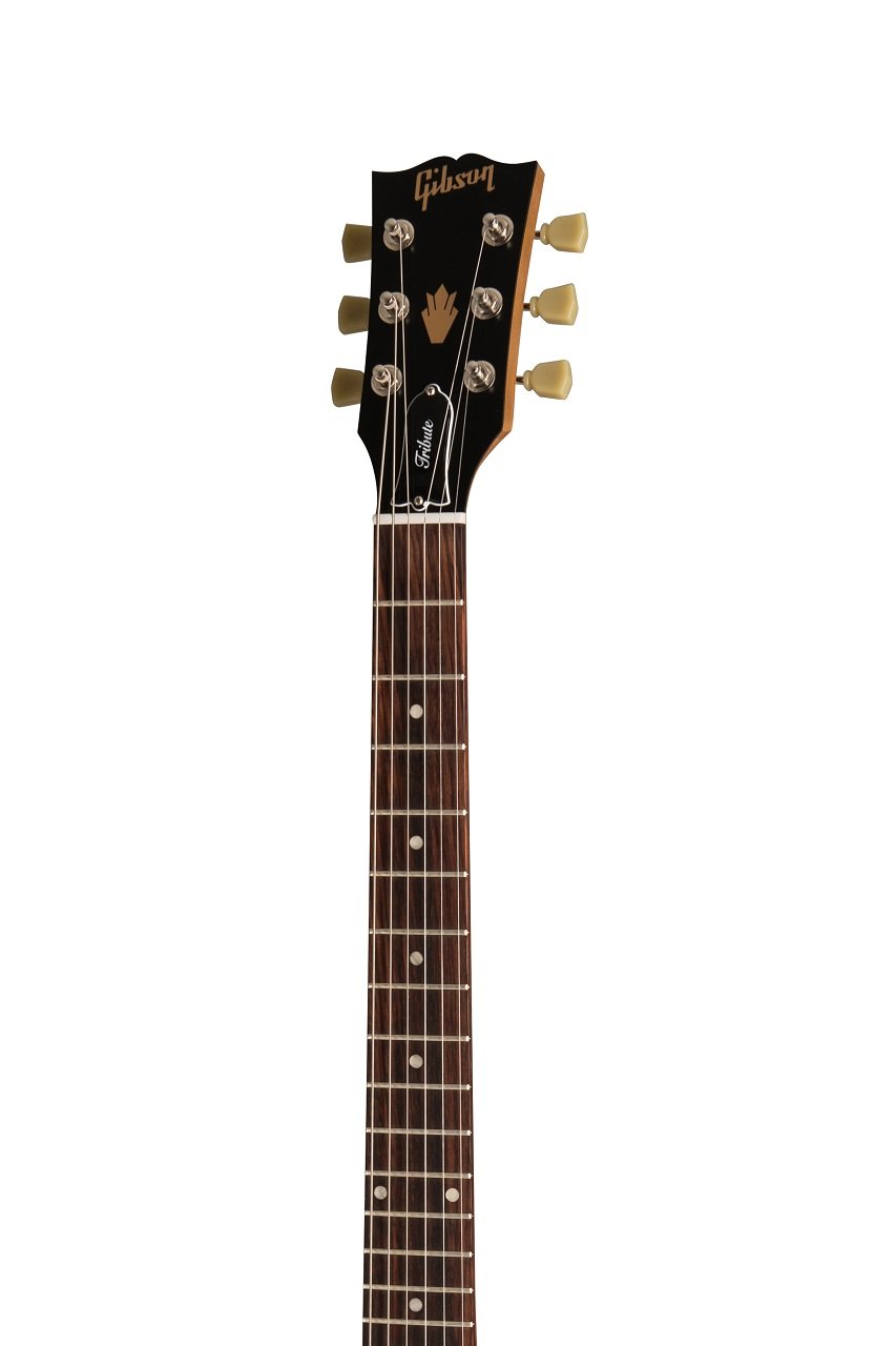 SG Tribute Natural Walnut